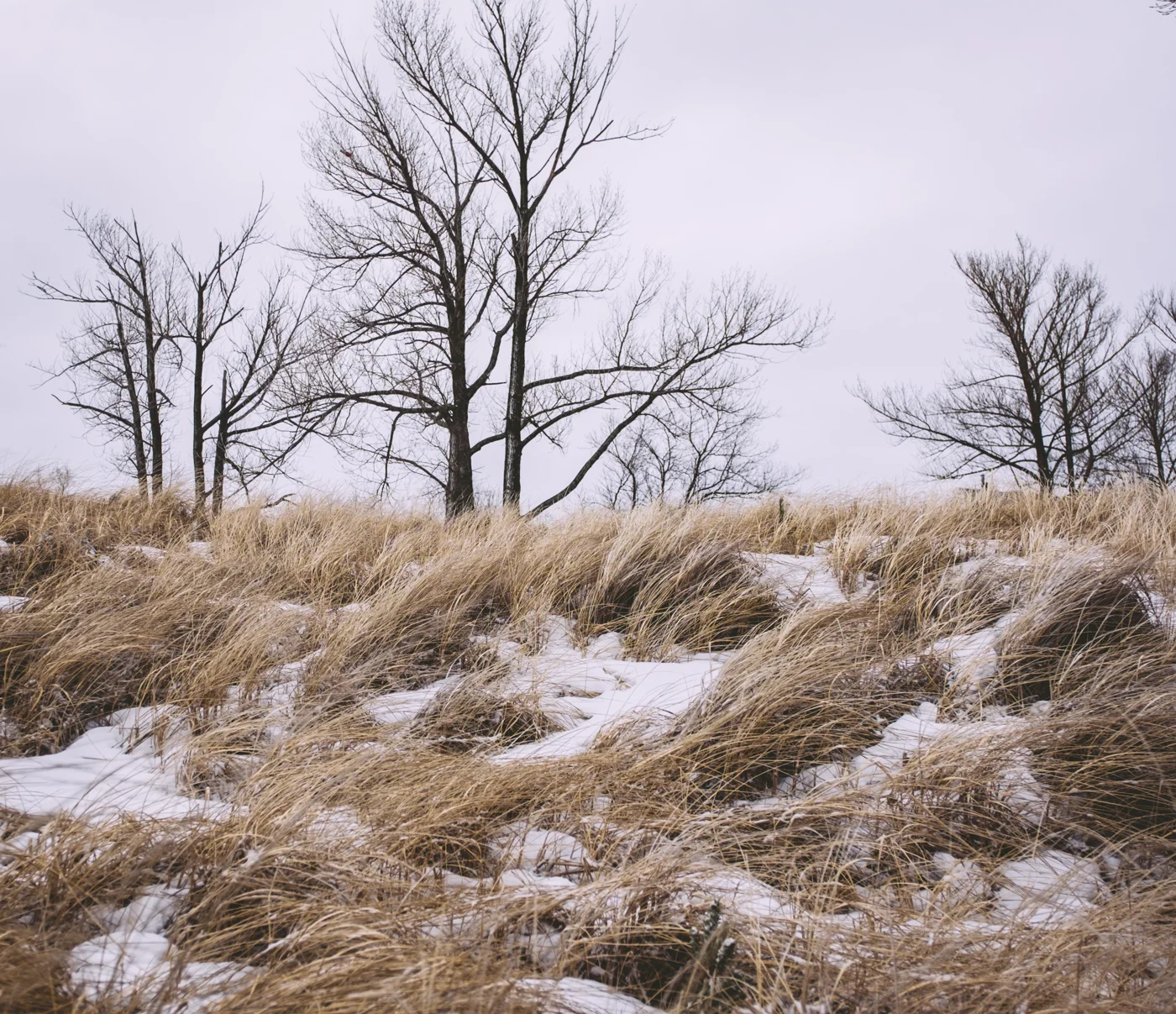 triptoduluth_February 26th and 27th92.jpg