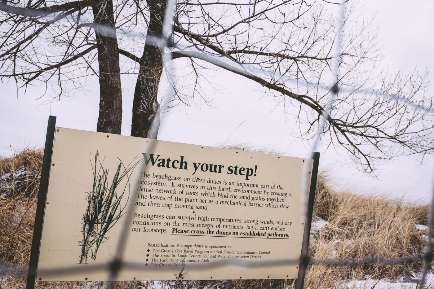 triptoduluth_February 26th and 27th98.jpg