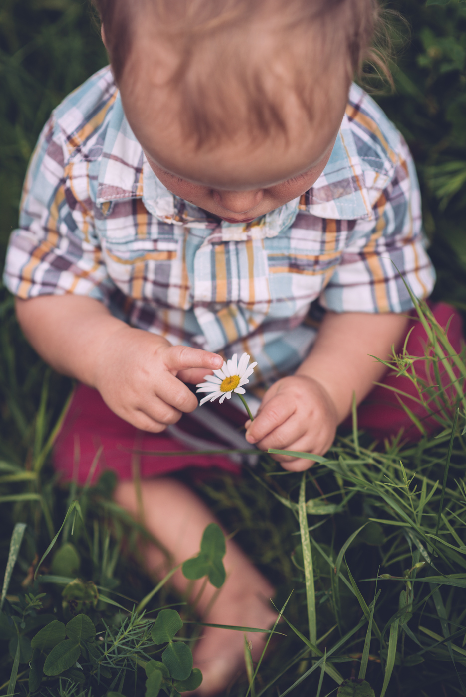 jennifer_lane_familyportraits_blog33.jpg