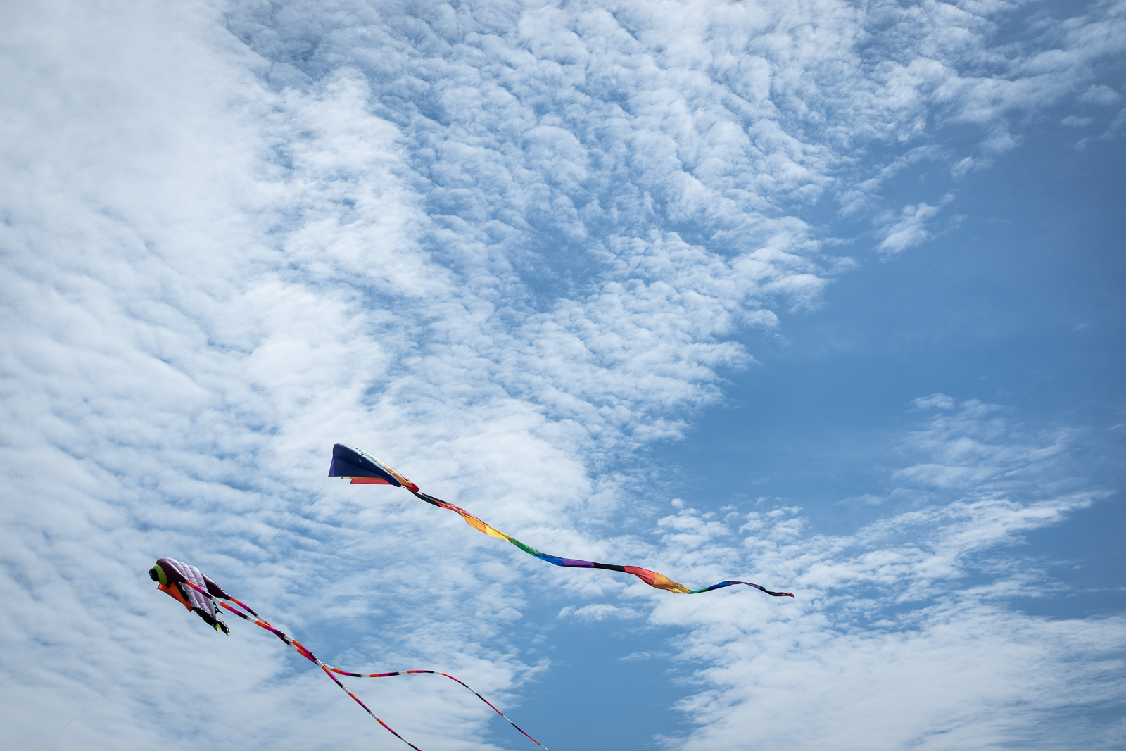 kite-festival-2019-blog-33.jpg