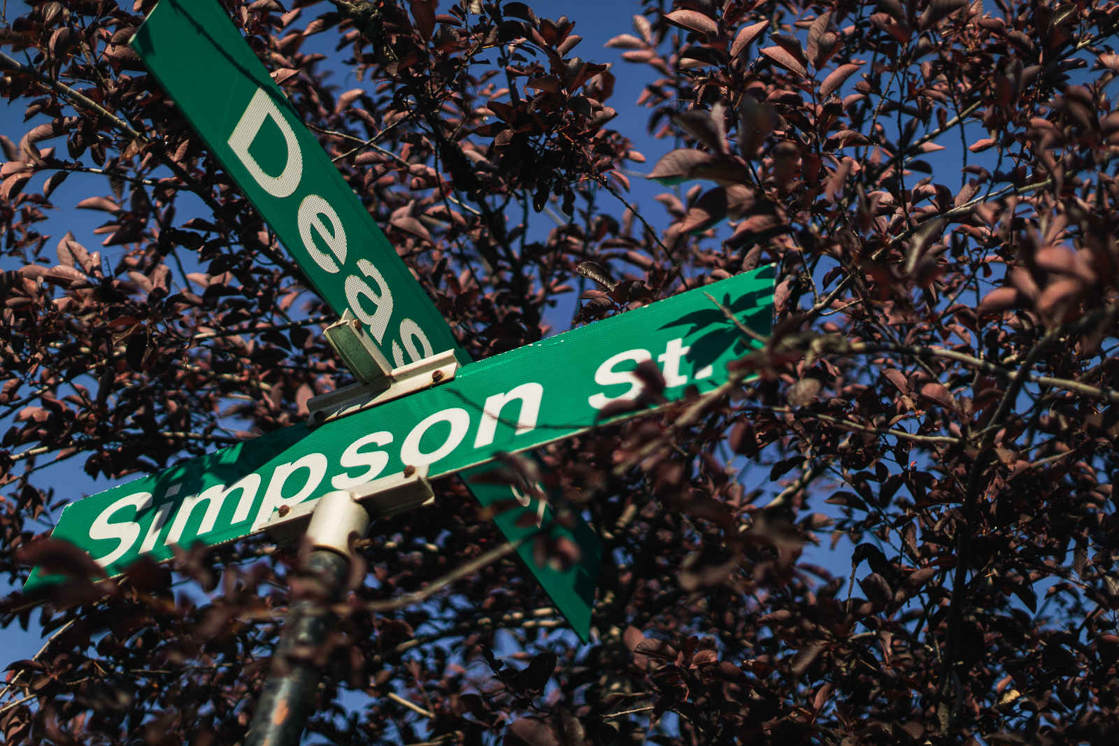 simpson-street-walk-sept7-blog-9.jpg