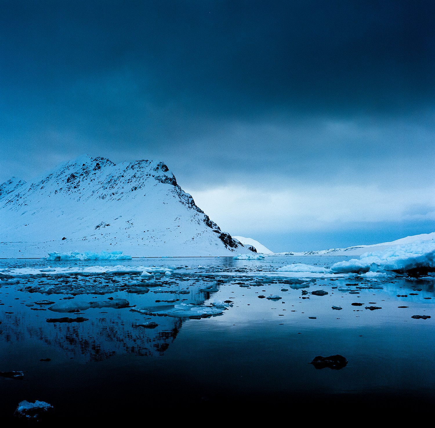 BBP-Arctic Film Finals-197.jpg