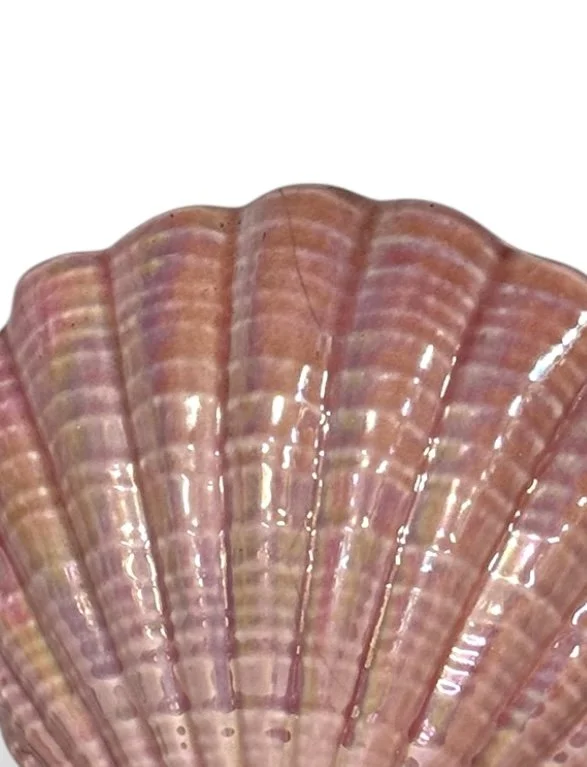 Photoroom_20260915_133353.jpg