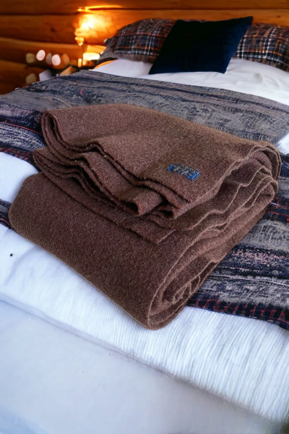 Pendleton blanket - ModernArtifactDecor for Pinterest.JPG