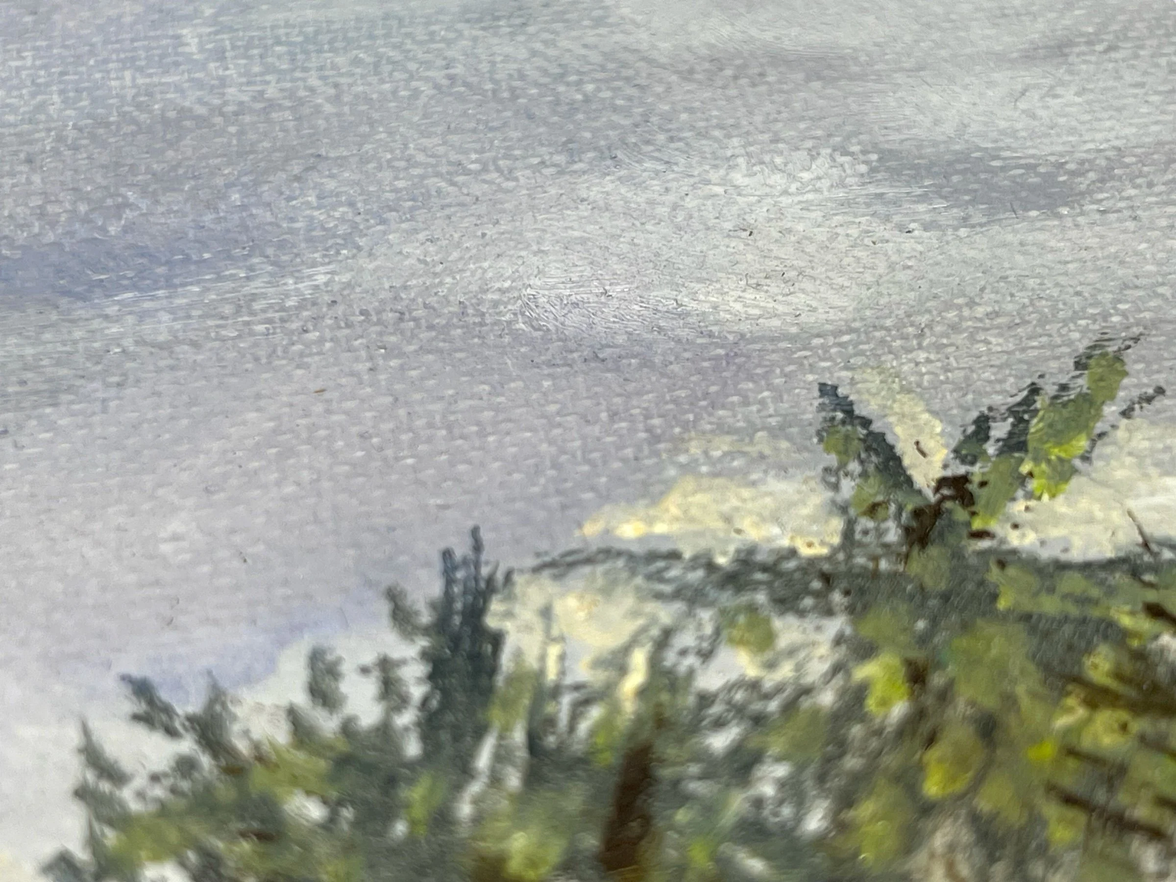 PhotoRoom_20231203_124439.JPG