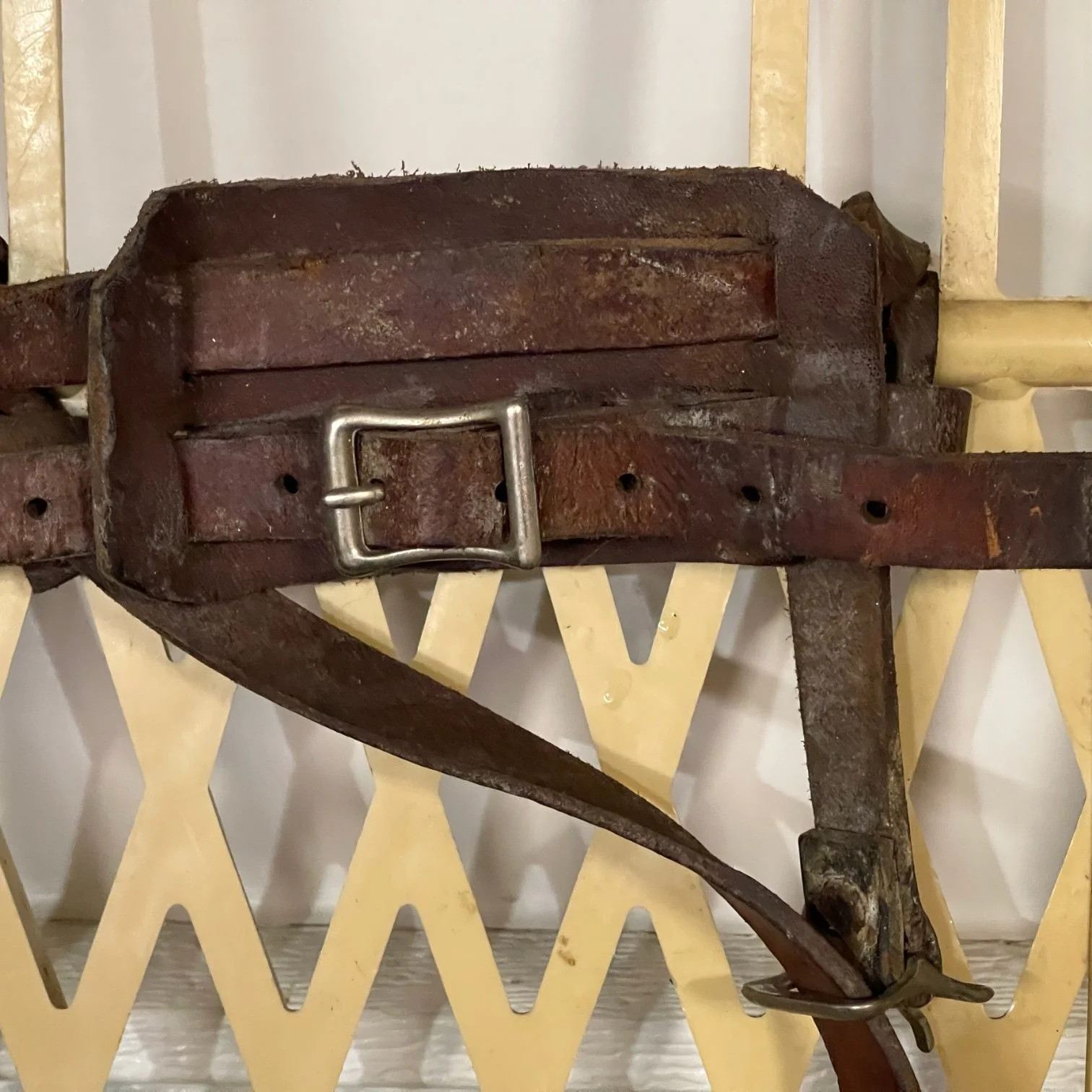 Pair of beige plastic Victor snowshoes with leather bindings.