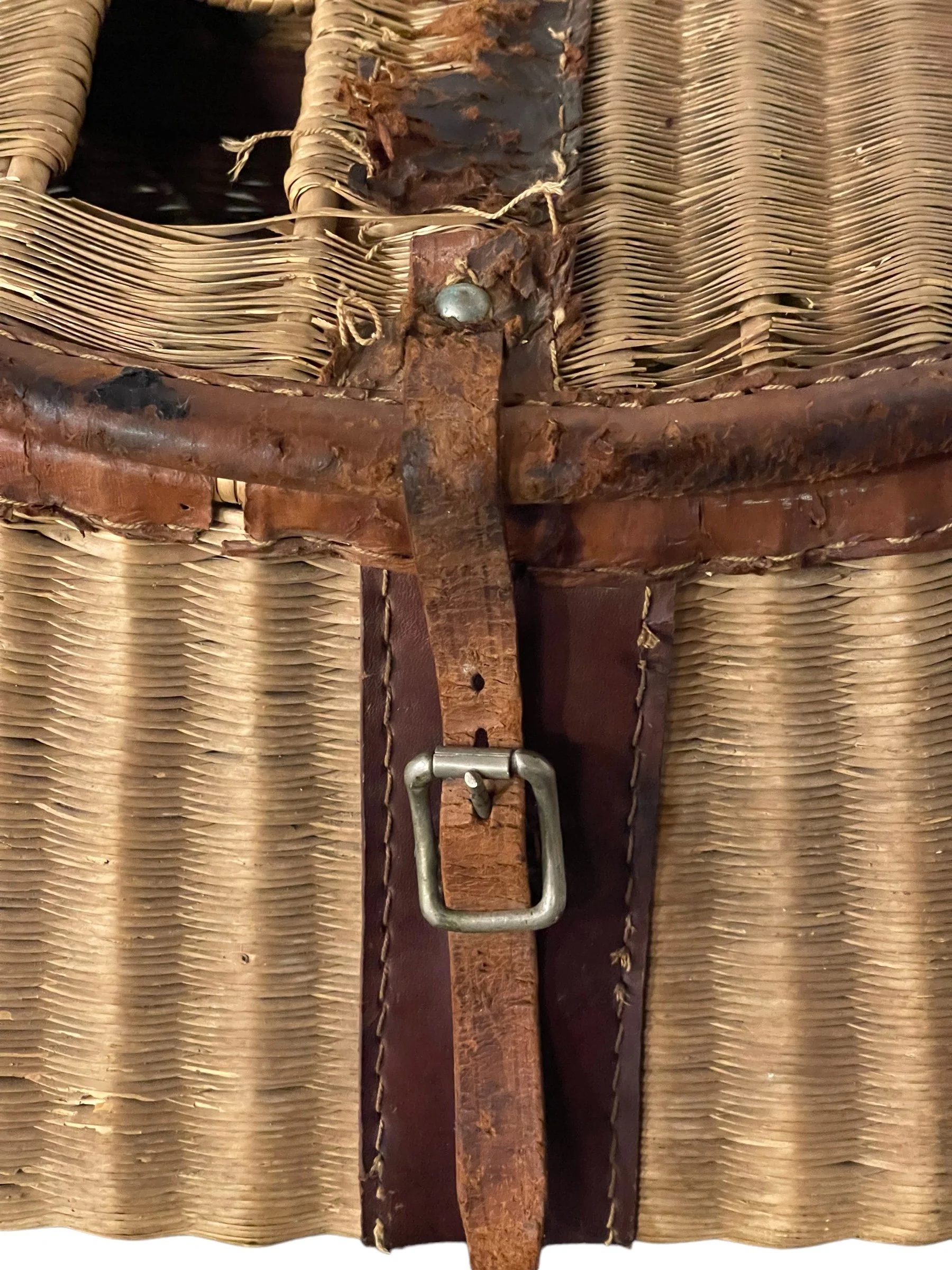 PhotoRoom_20240130_110119.JPG