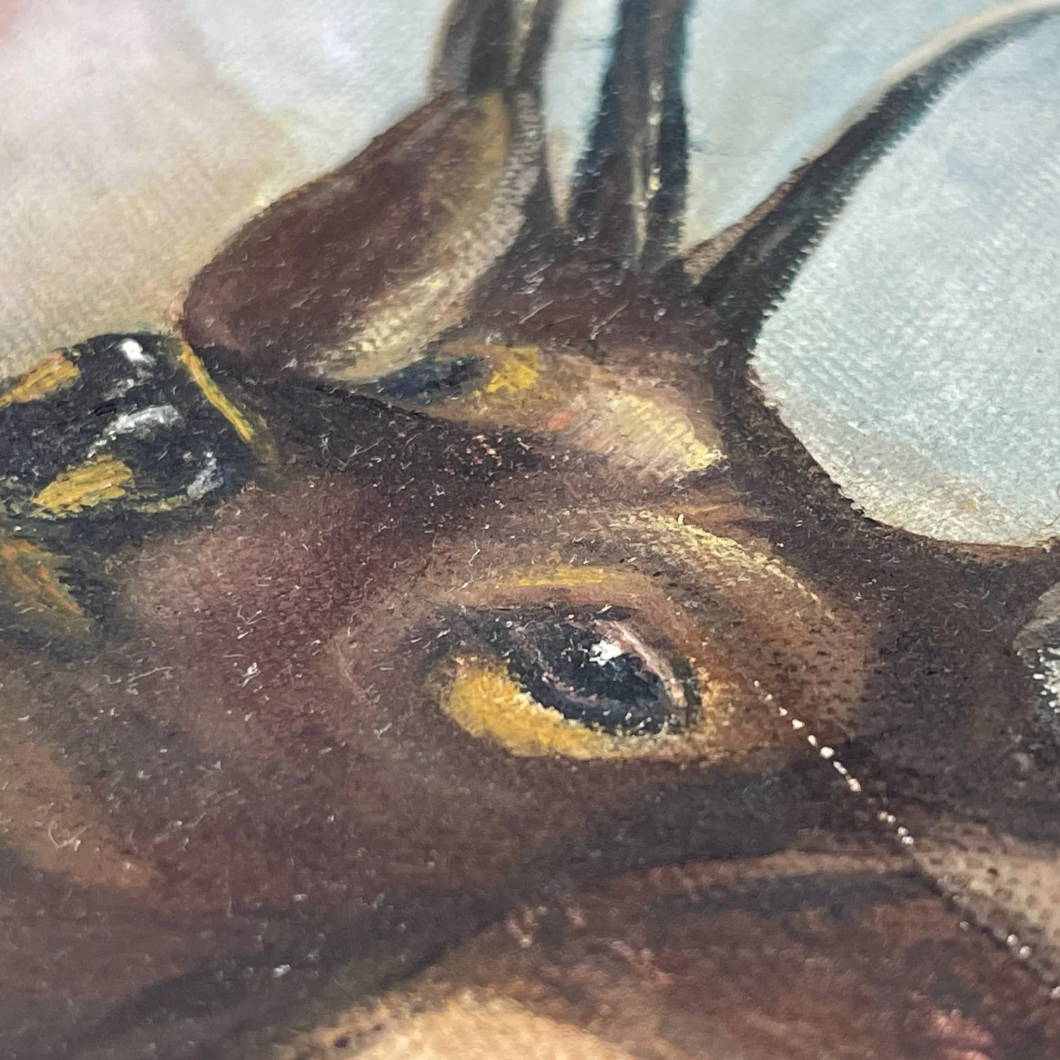 Vintage painting of an elk title 'Trails End' by artist J. Graham, signed and dated 1993. The vertical artwork measures 28x24 inches and is framed in a heavy duty, ornate wood frame.