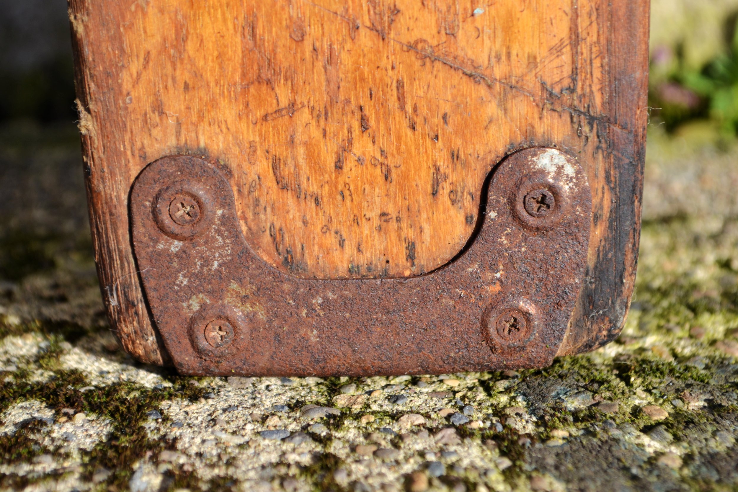 DSC_0438.jpg