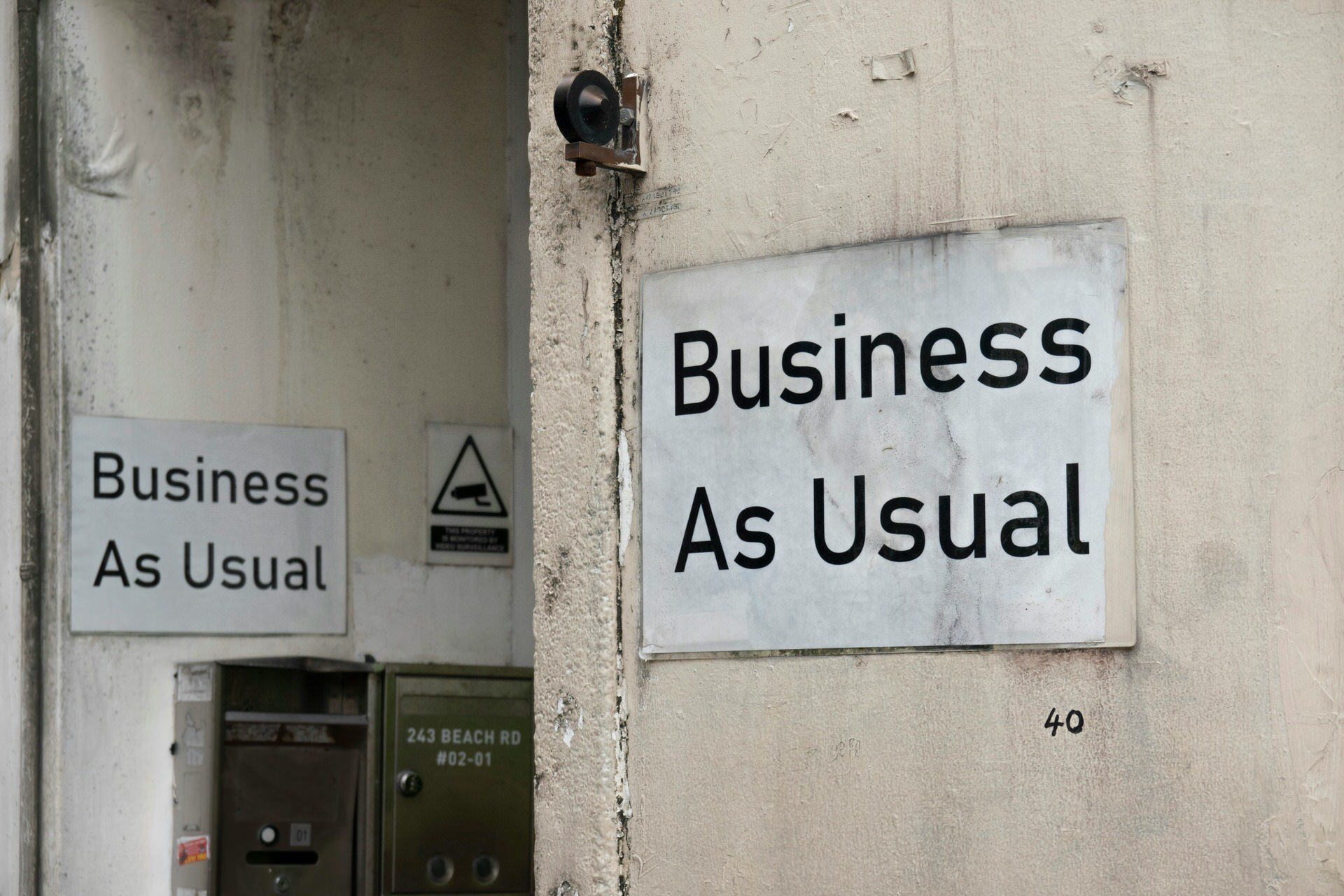 Profiles vs. Roles: What’s the Difference?