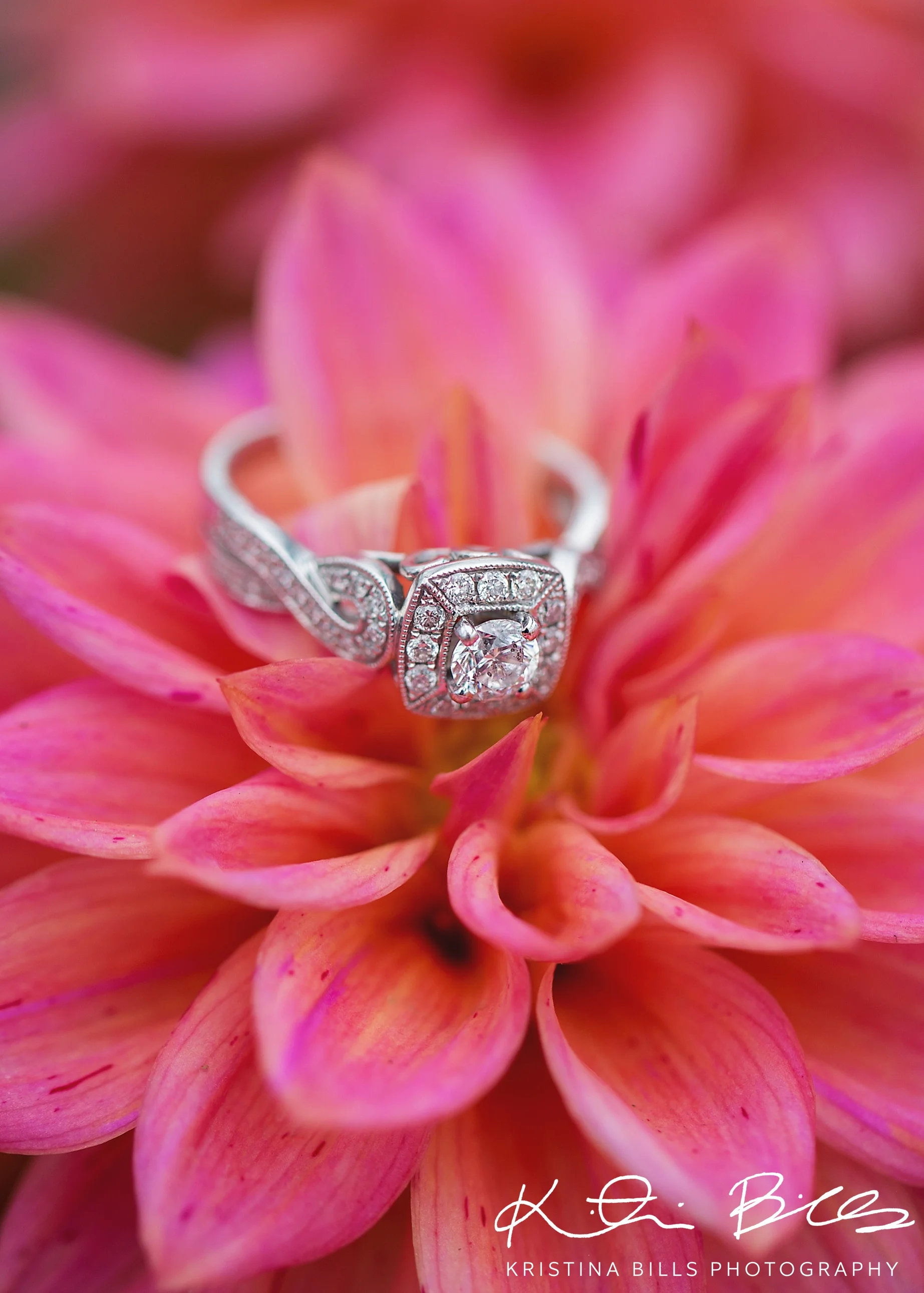 Her ring is GORGEOUS and this flower, I LOVE! In fact I will probably go back and buy a few of these for my yard. Totally in love!