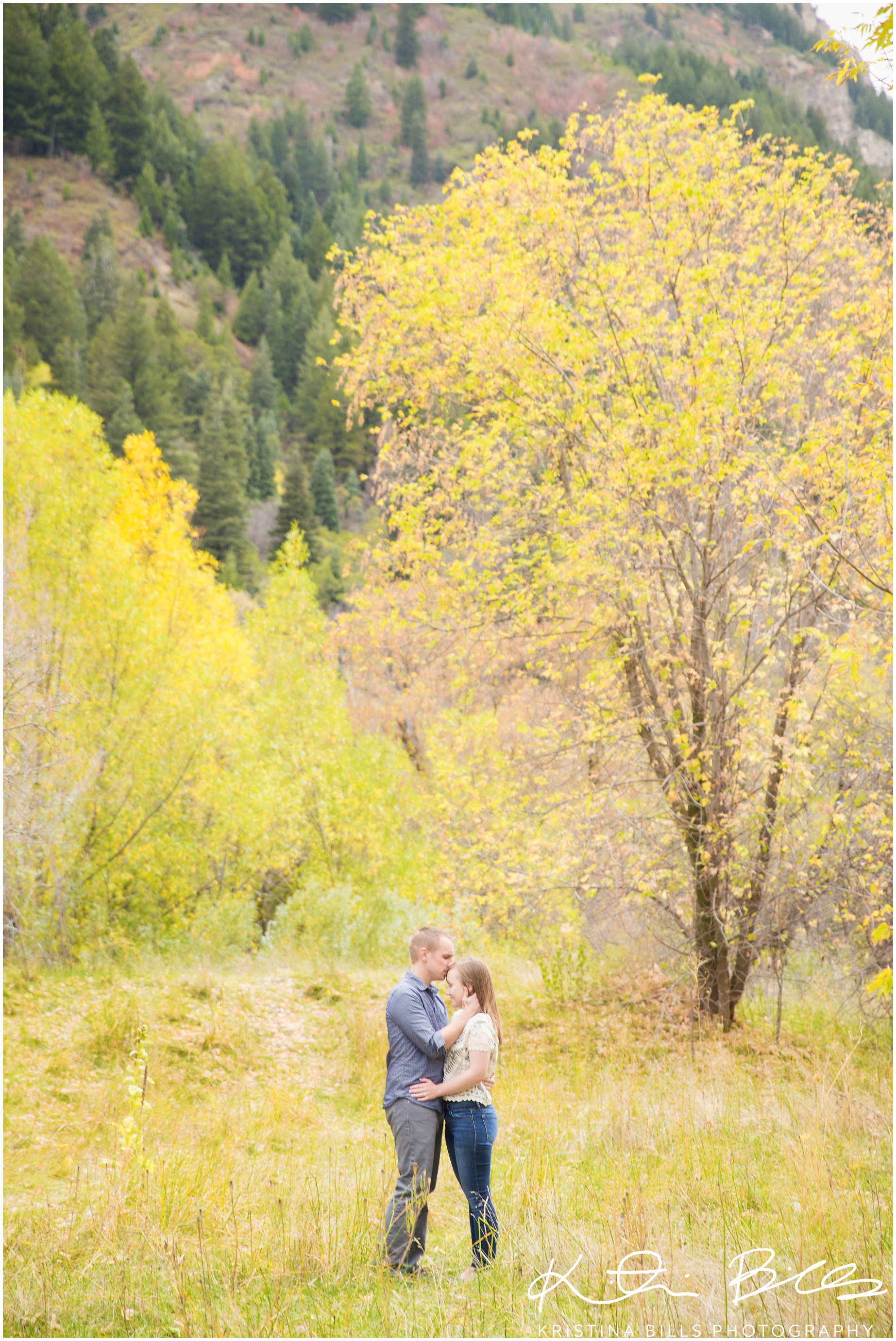 VivanParkUtahEngagementPhoto_0001.jpg