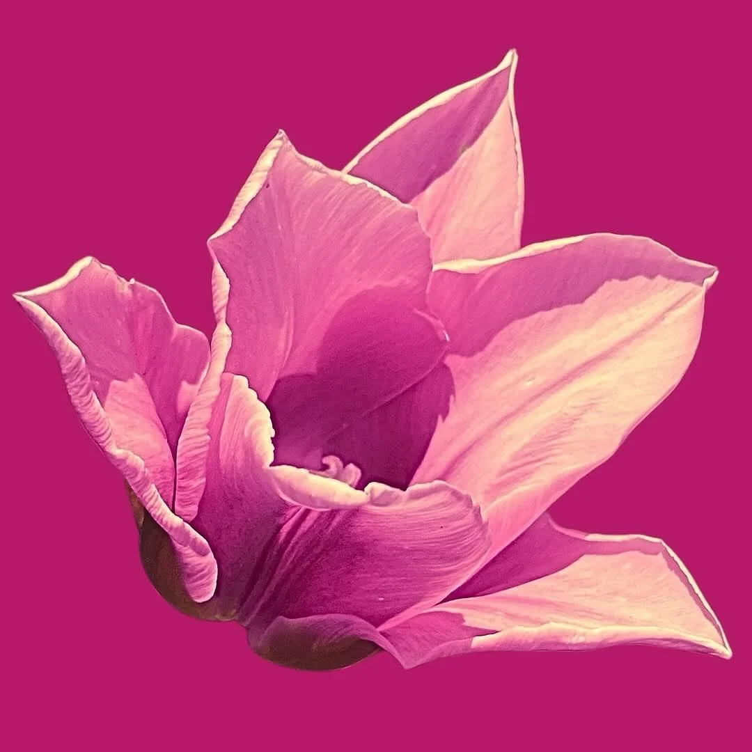 Repost @elisathorn PAINT BY MEMORY is out today 🎨
It’s about how memory can morph over time. Do we have agency in that process? I think so, but it also has a mind of its own.
This is the very first song I wrote for this solo project many year