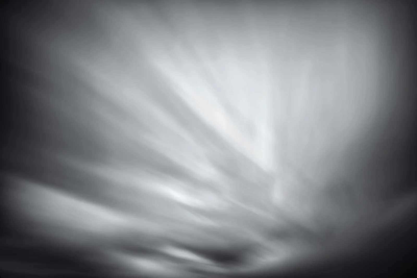 _MG_8339 B&W_resize.jpg