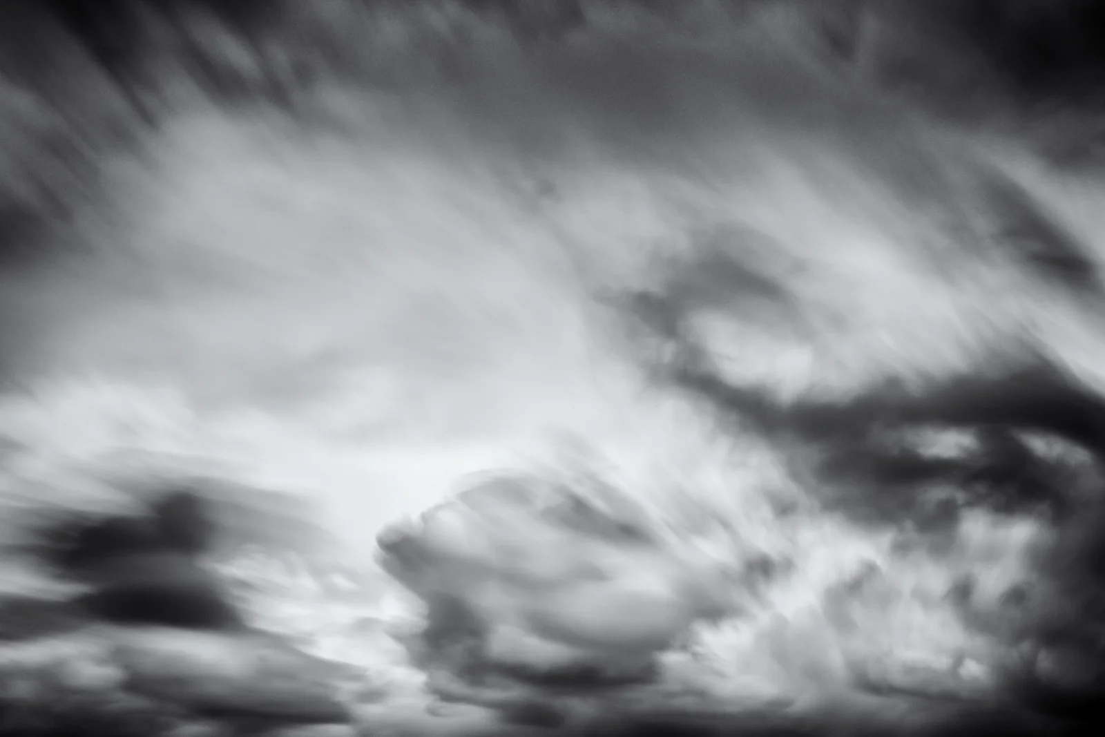 _MG_8396 B&W_resize.jpg