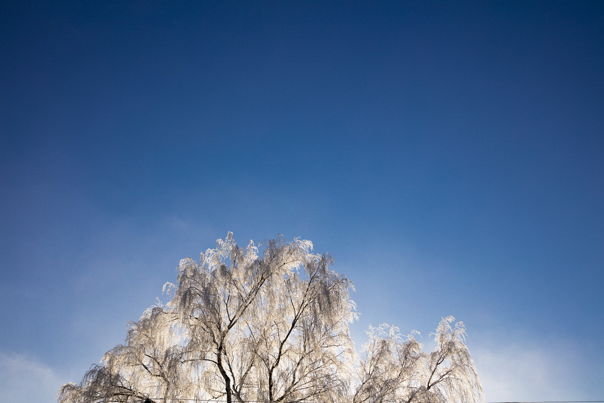 IMG_8830_2_resize.jpg