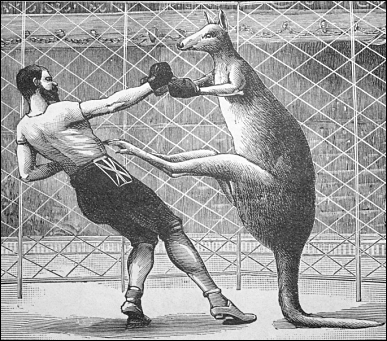 I failed just by stepping into the ring...