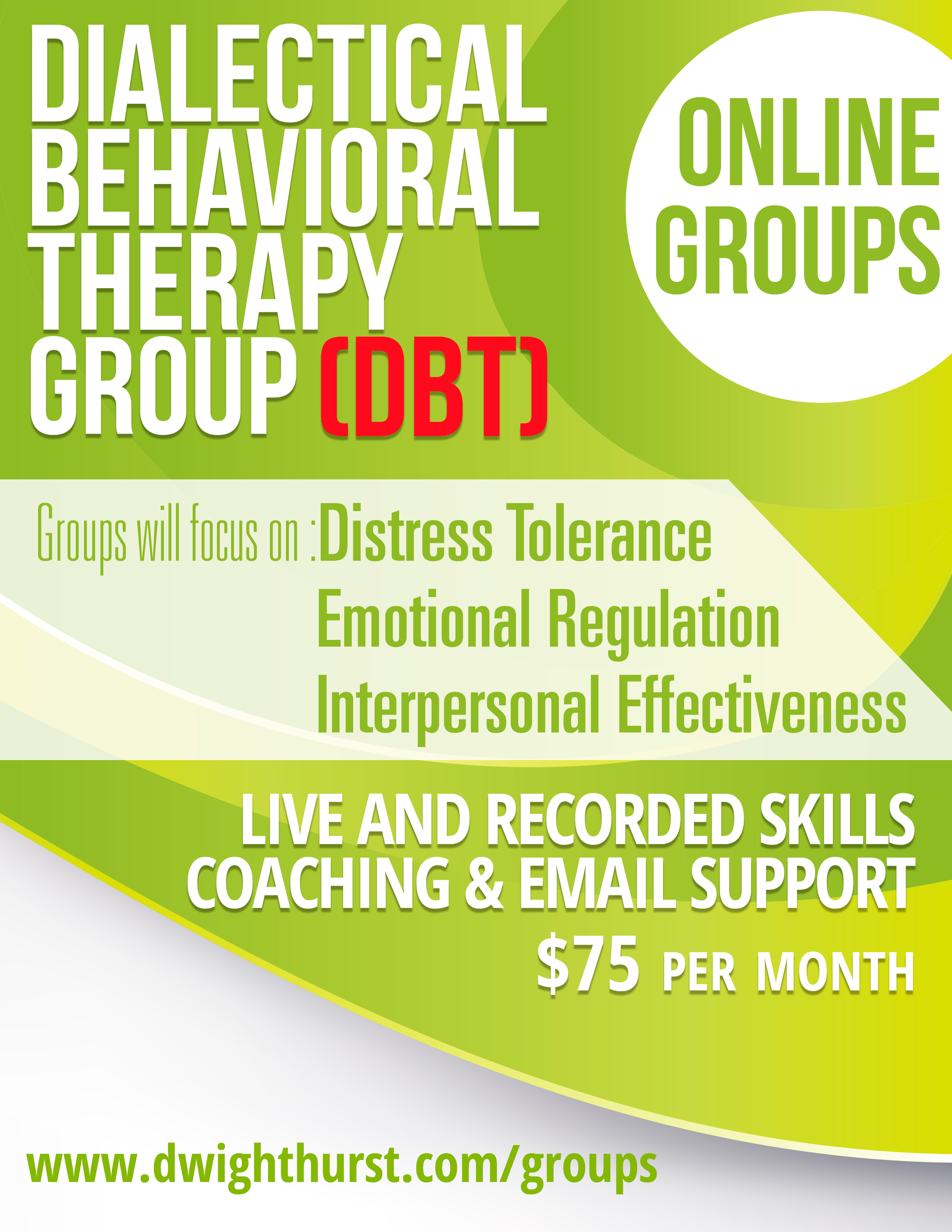 Online DBT Skills Group