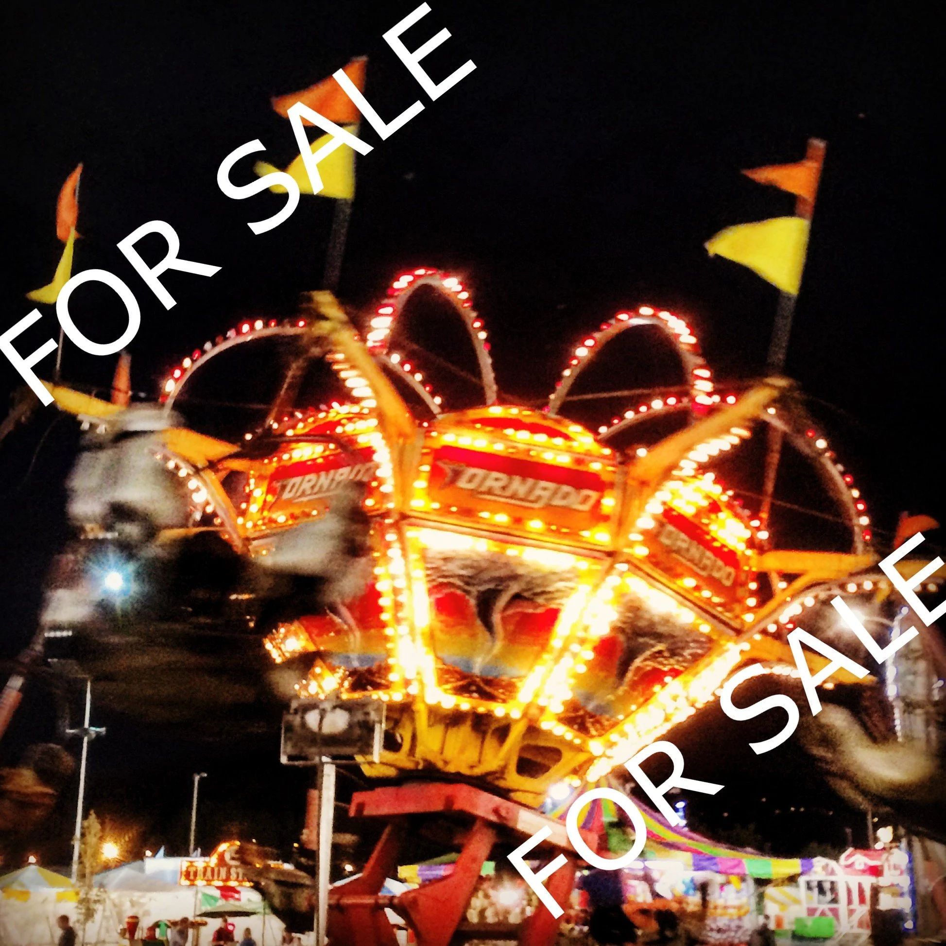 State Fair Ride SAMPLE.jpg