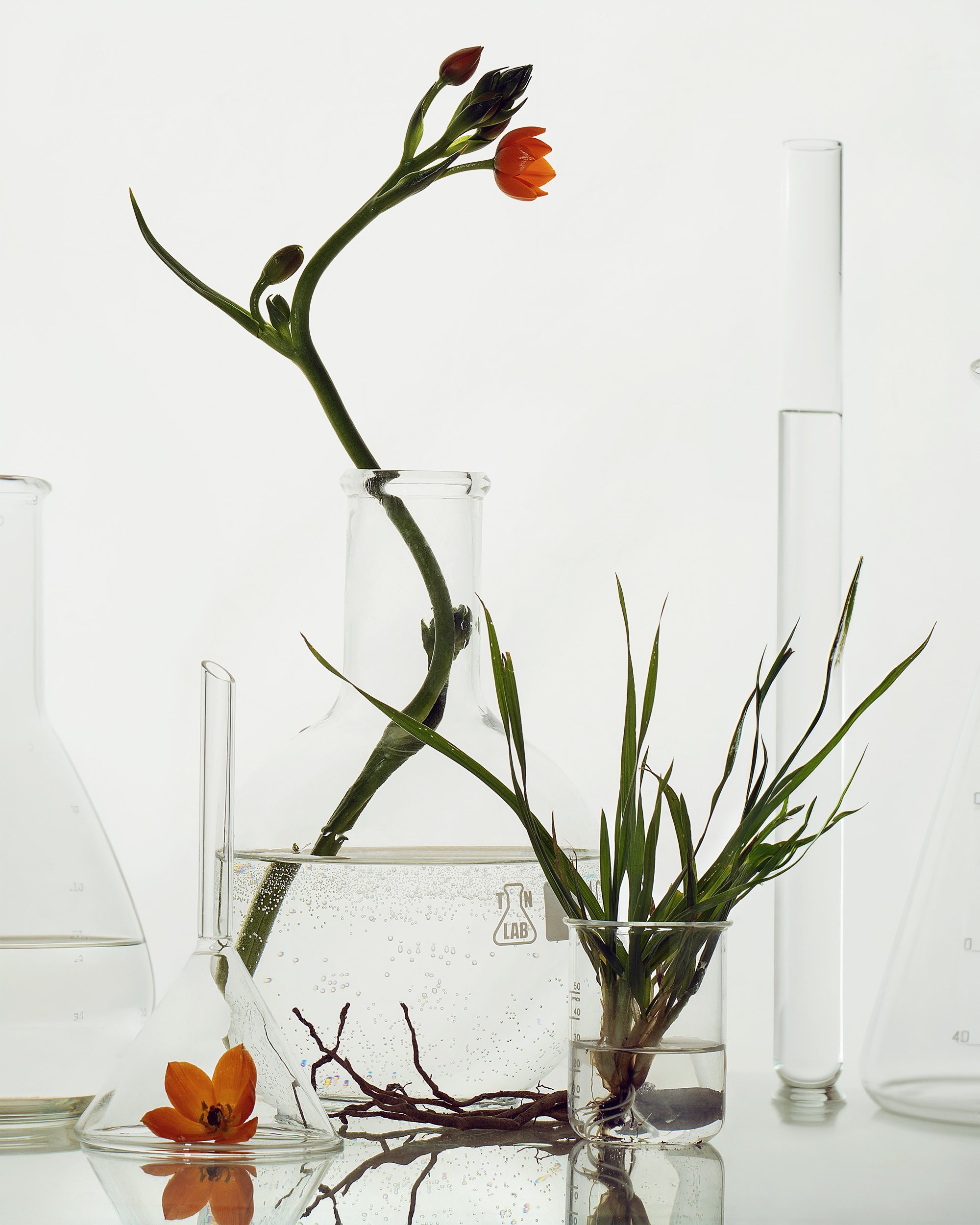 Courtney Dailey Photography Product Photographer.jpg