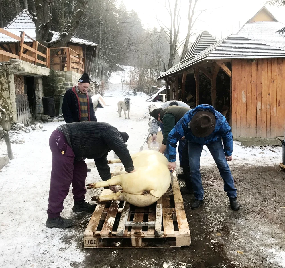 Szekely Hungarian tradition