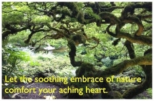tree-min.jpeg