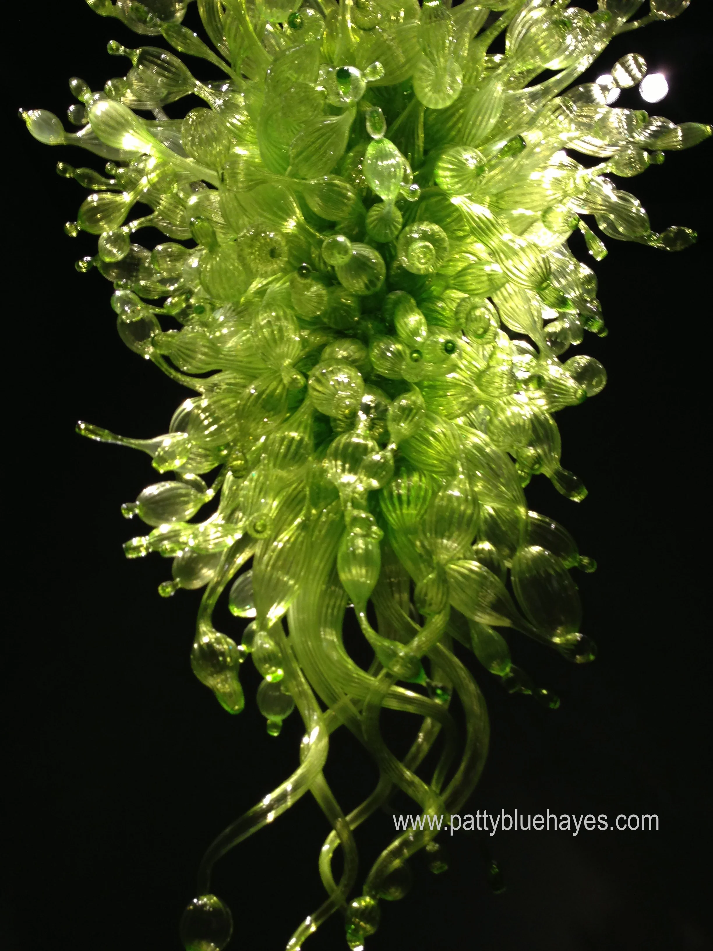 Chihuly Garden and Glass, Seattle, WA