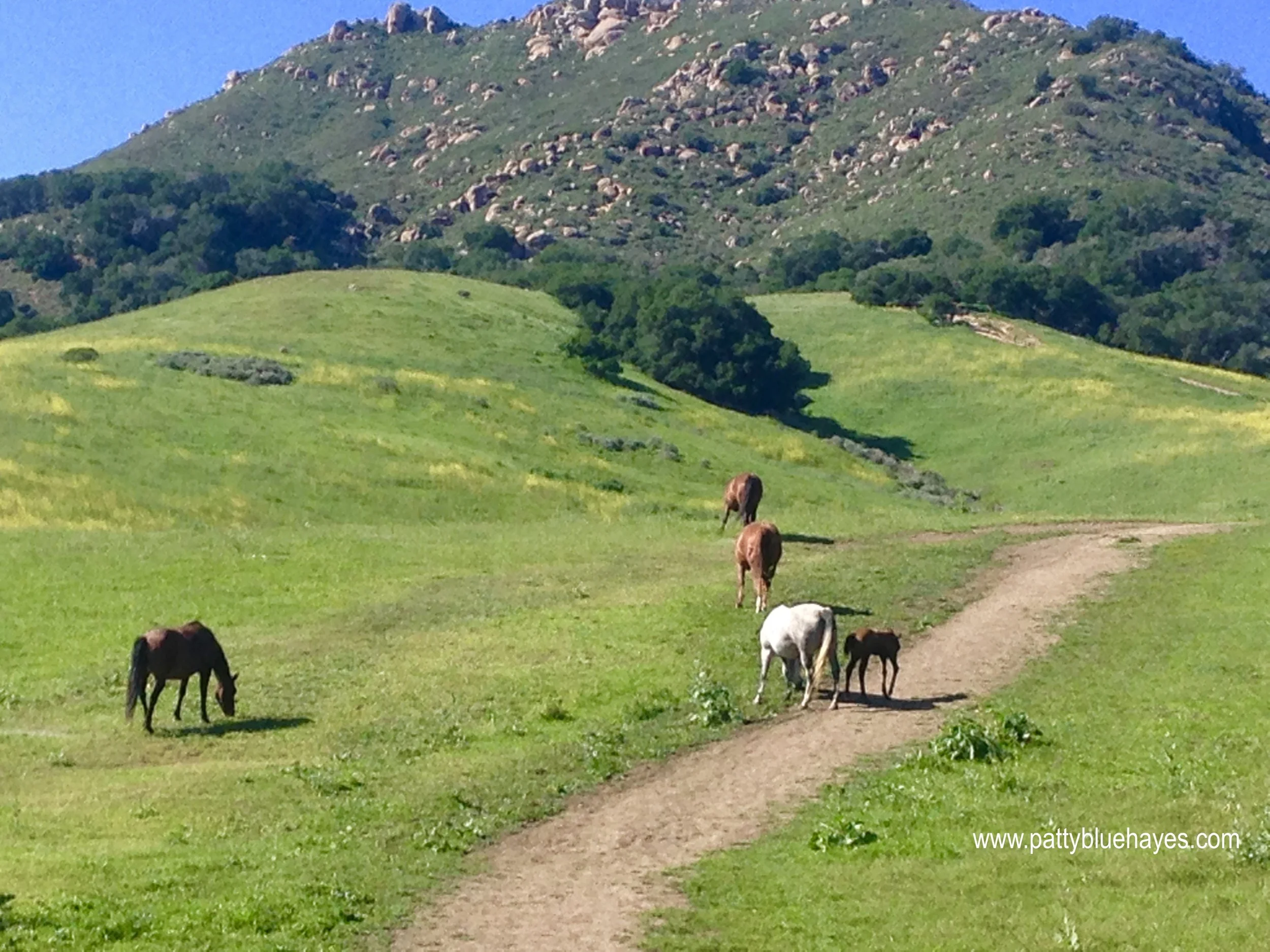 San Luis Obispo, CA