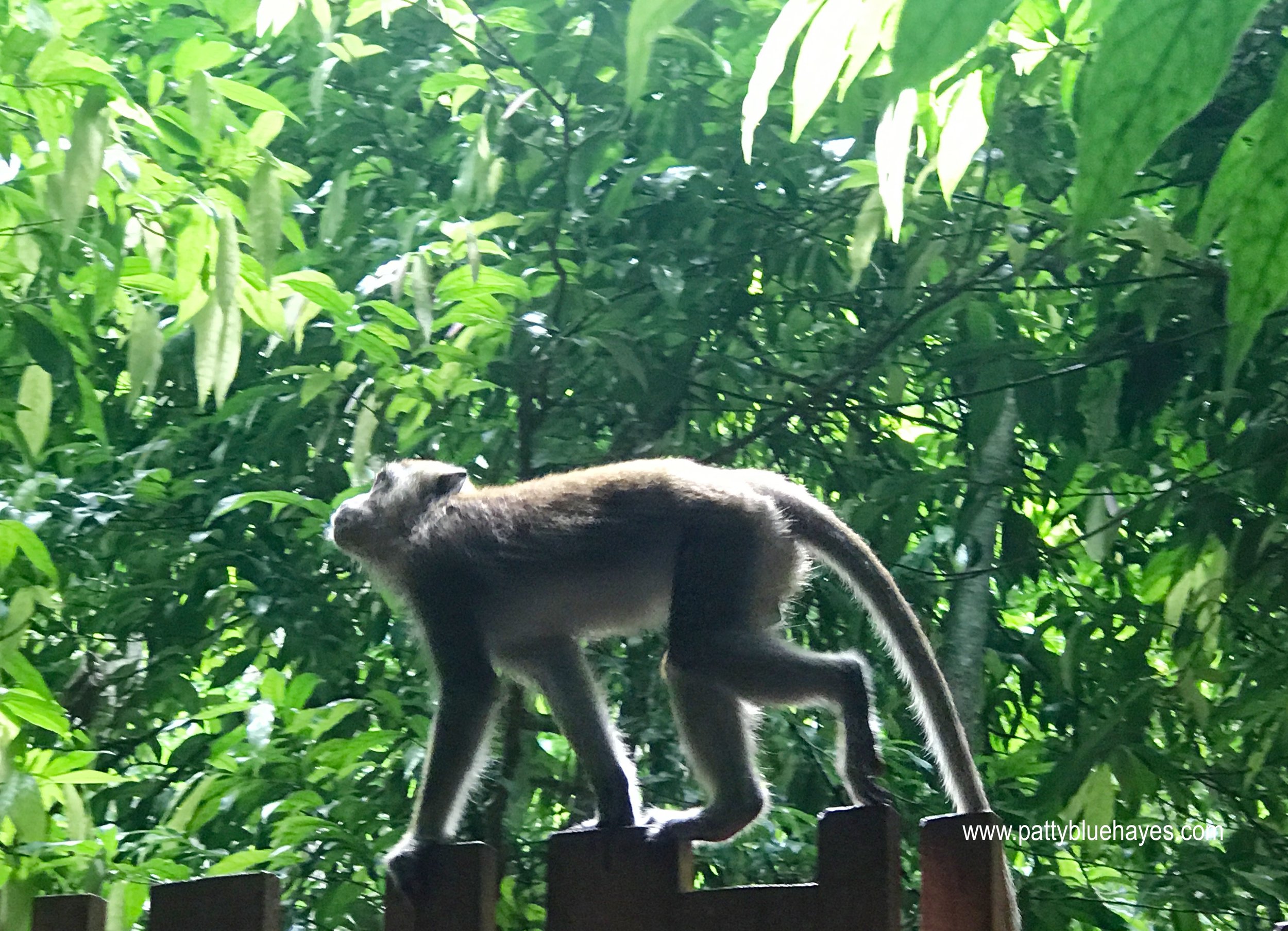 Krabi, Thailand