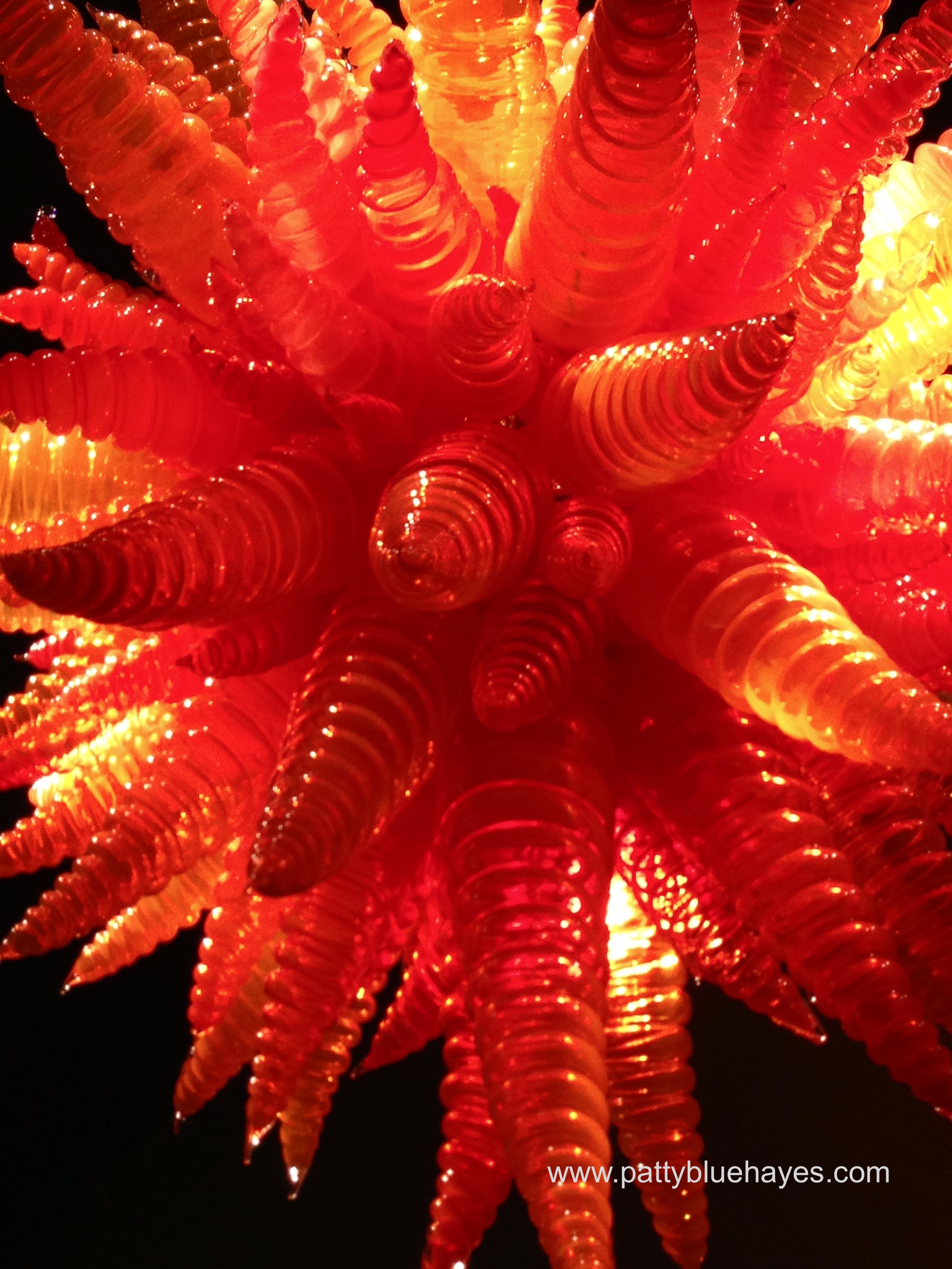 Chihuly Glass & Gardens, Seattle, WA