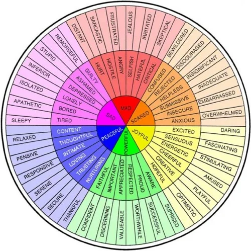 The Feelings Wheel