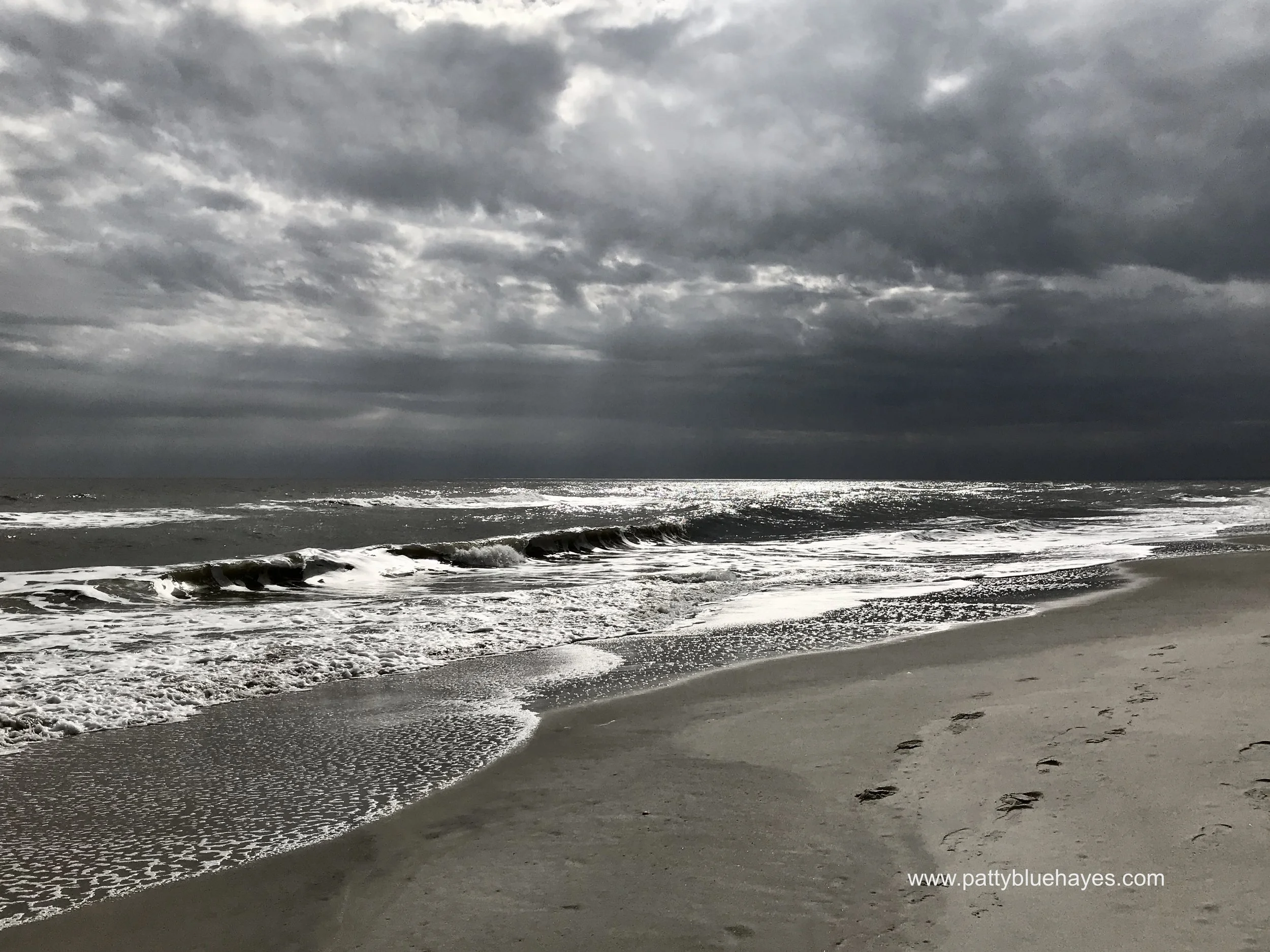 Huntington Beach State Park, SC