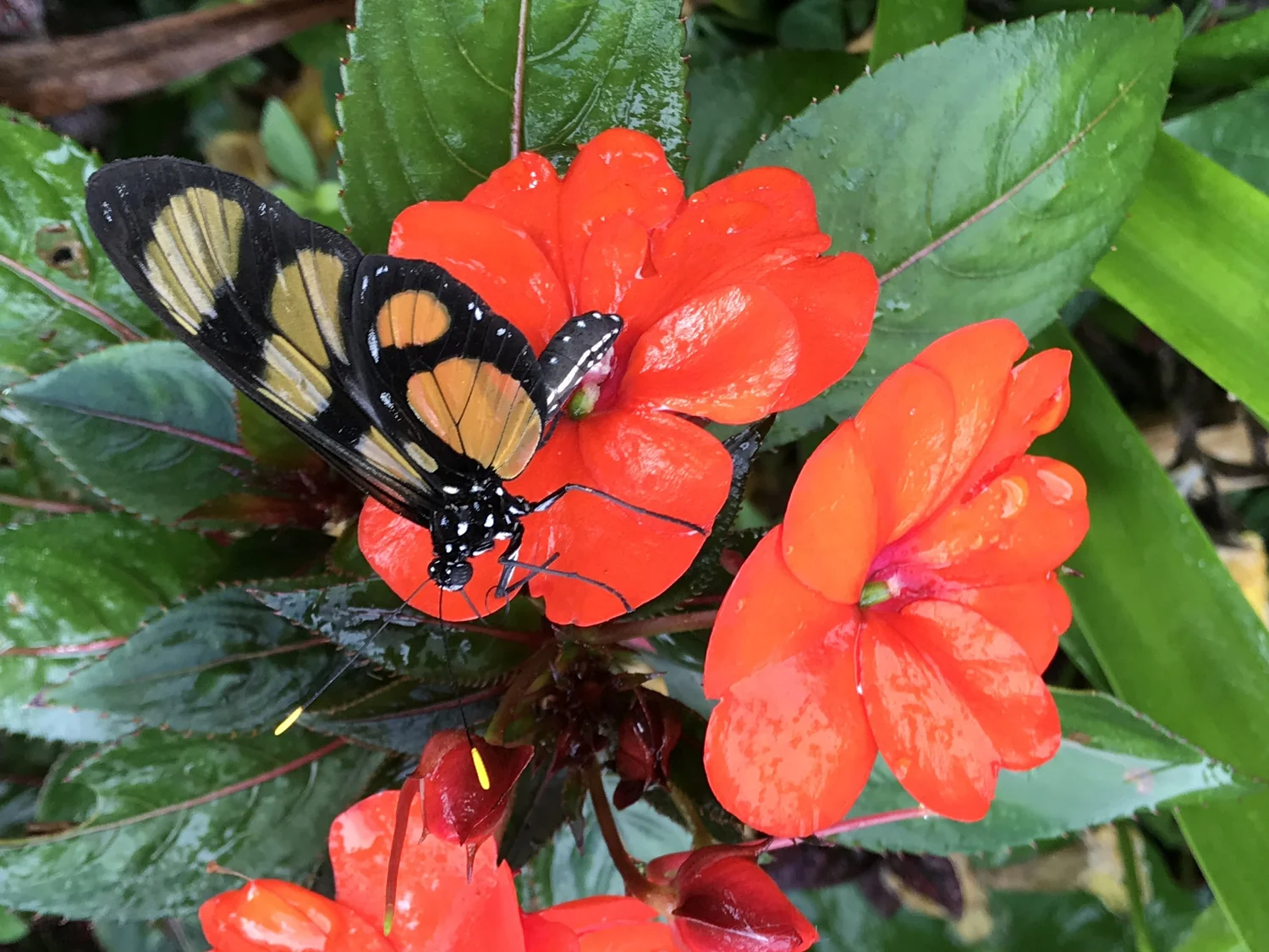 personal-retreat-patty-blue-hayes