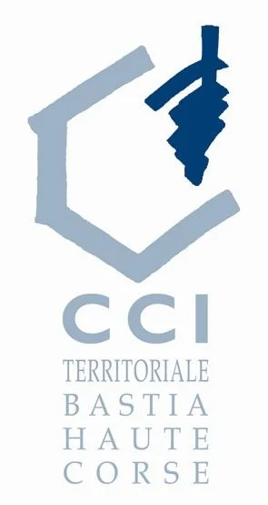 ccit2b_logo.jpg