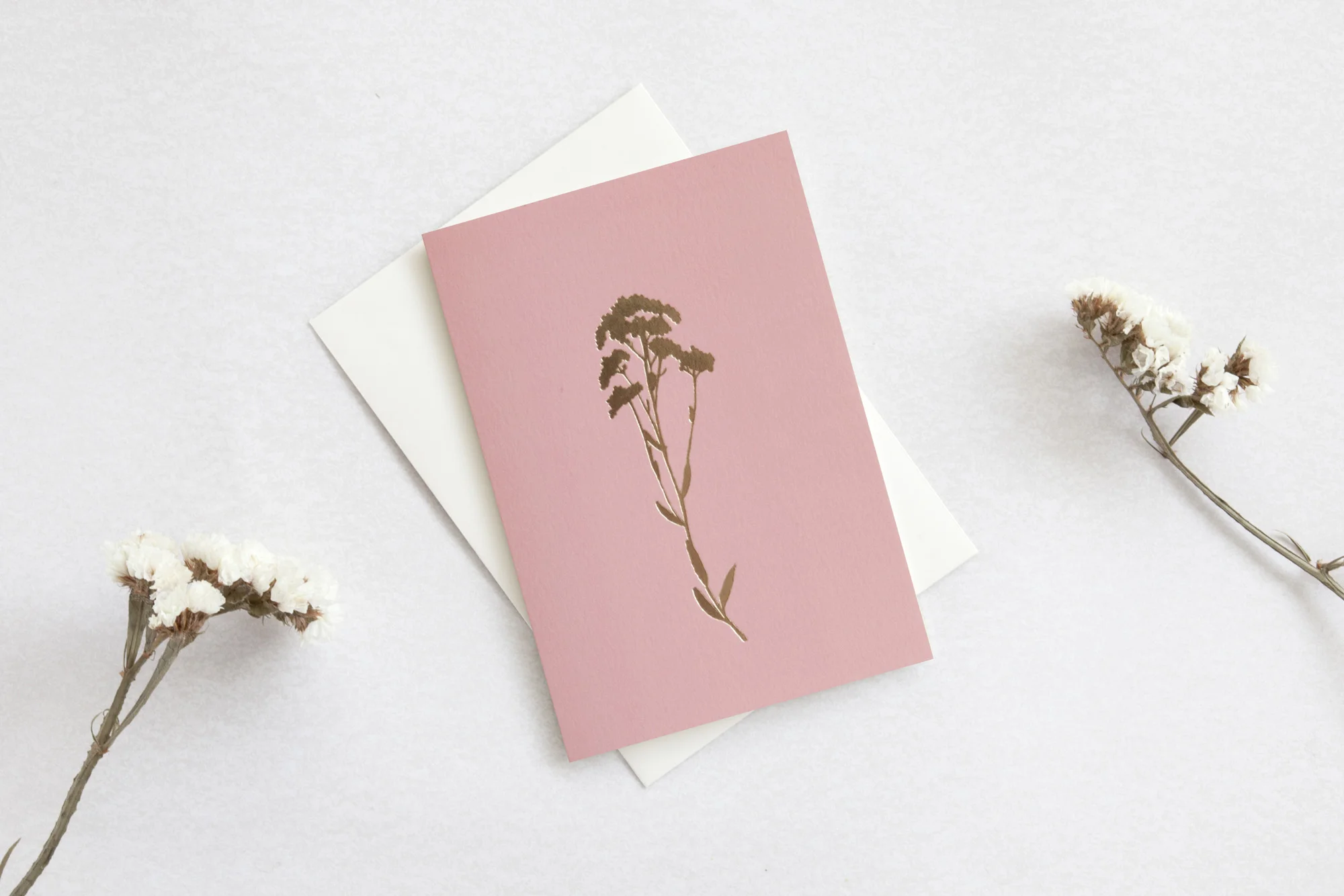 Botanical Card Alyssum.jpg