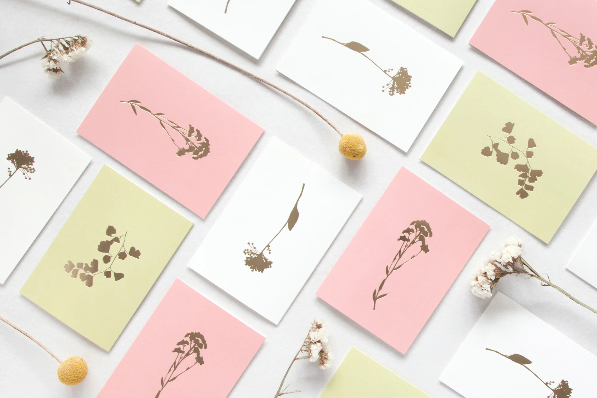 Botanical Collection Main Shot.jpg