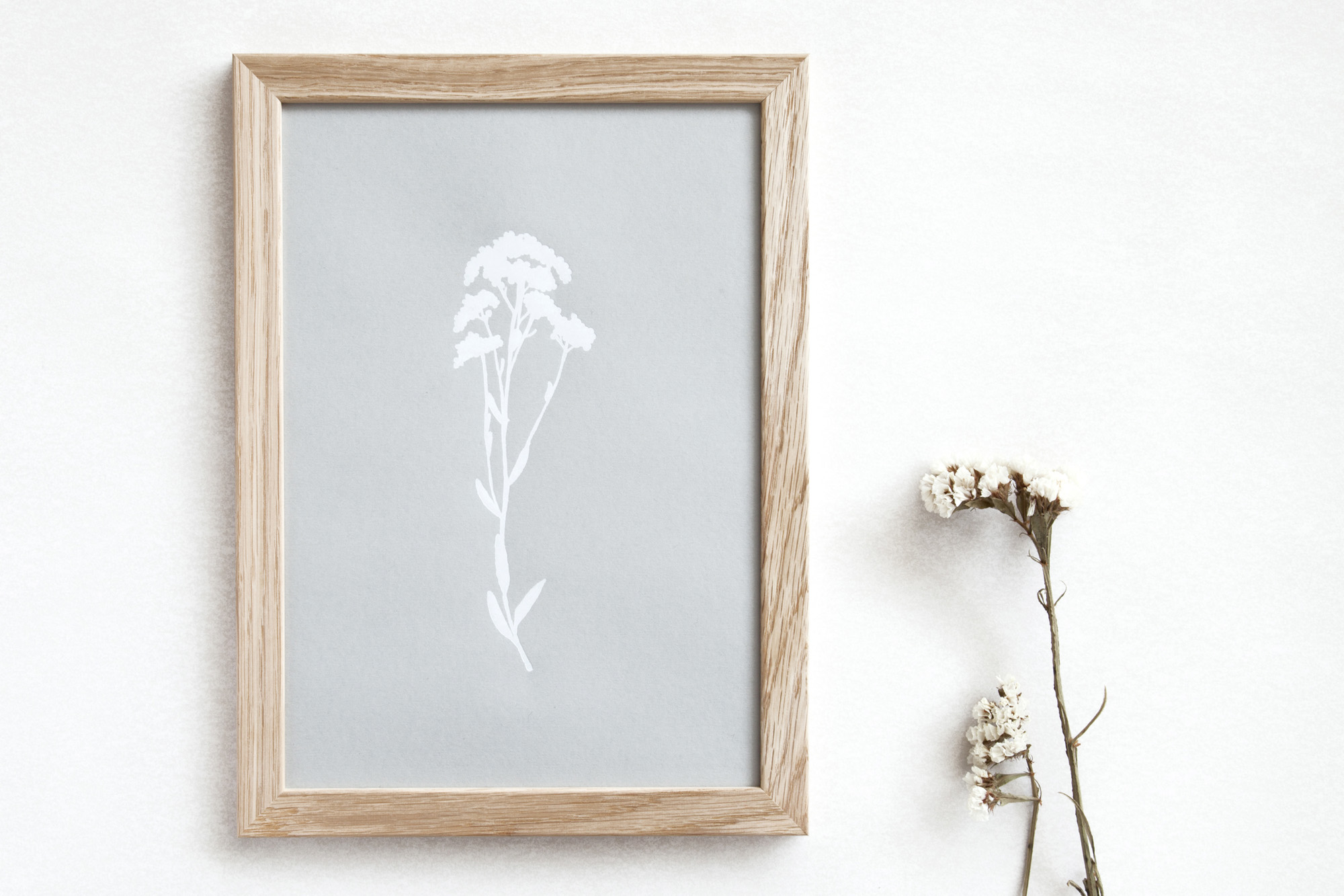 Botanical Print Alyssum.jpg