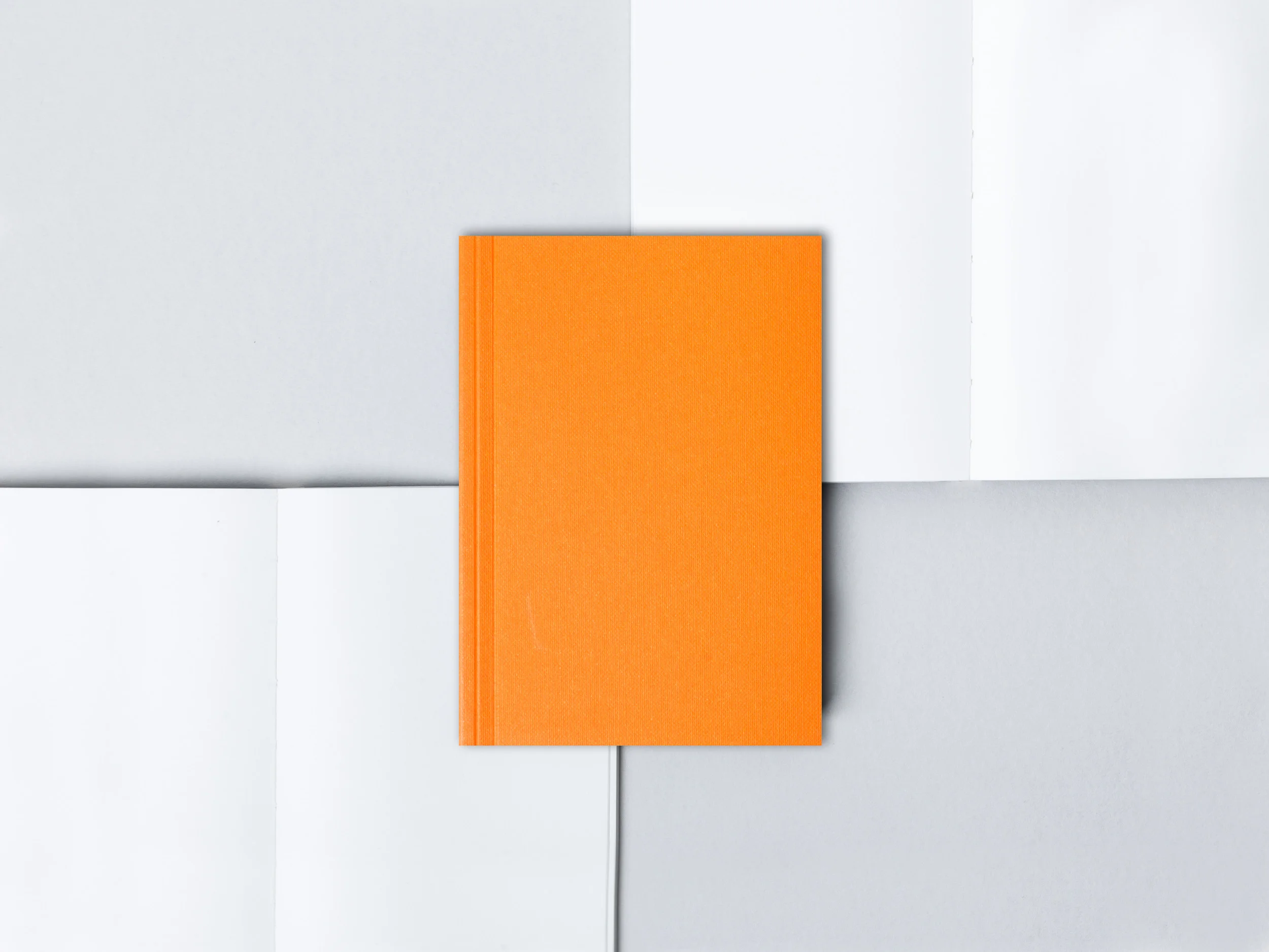 Ola Small Book 3 - LR.jpg