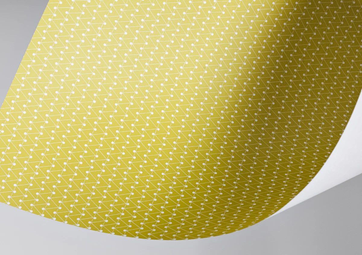 ola_paper_details_22306.jpg