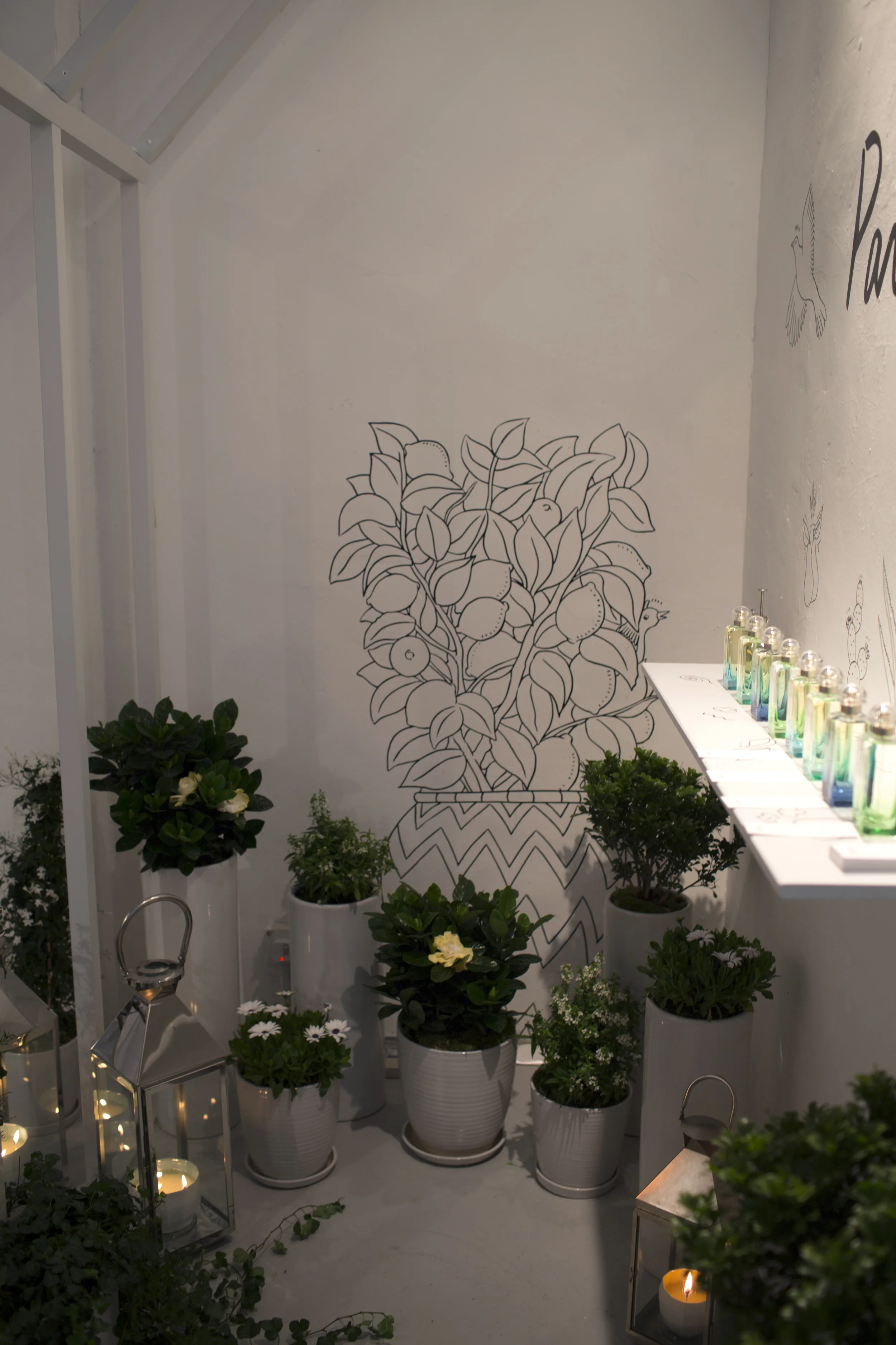 PARFUM RT.jpg