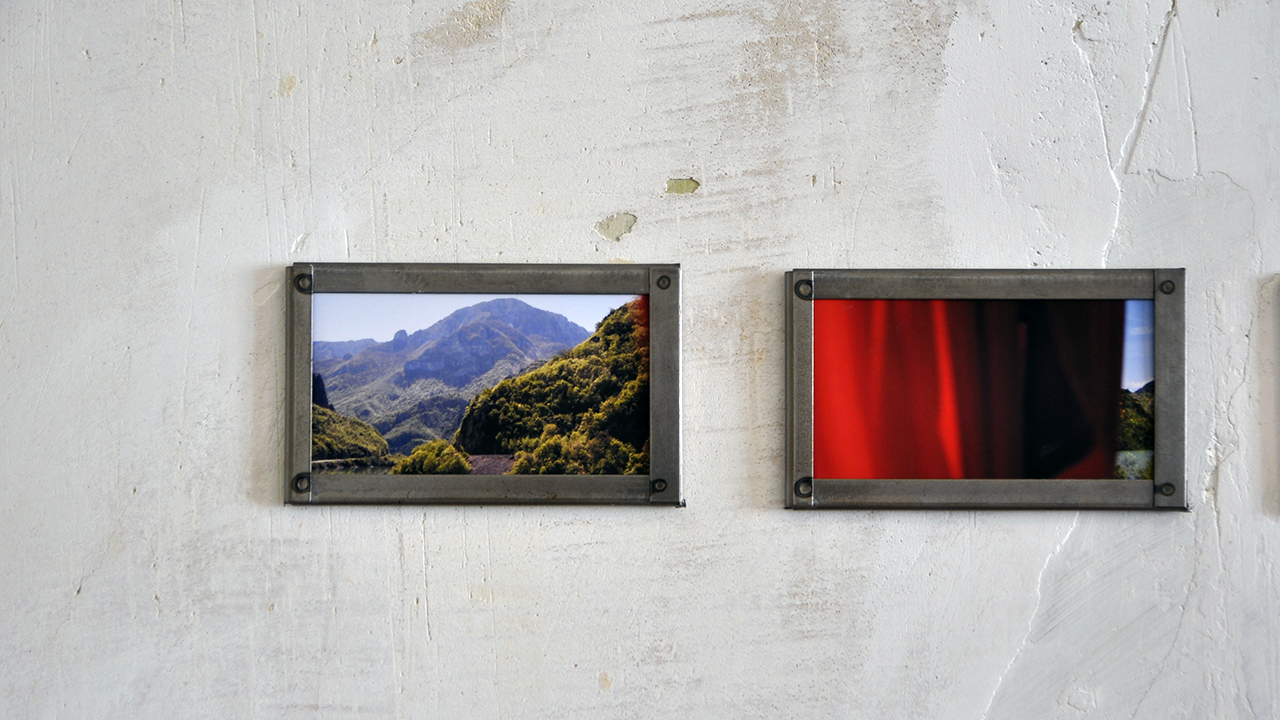 installation_view_7.jpg