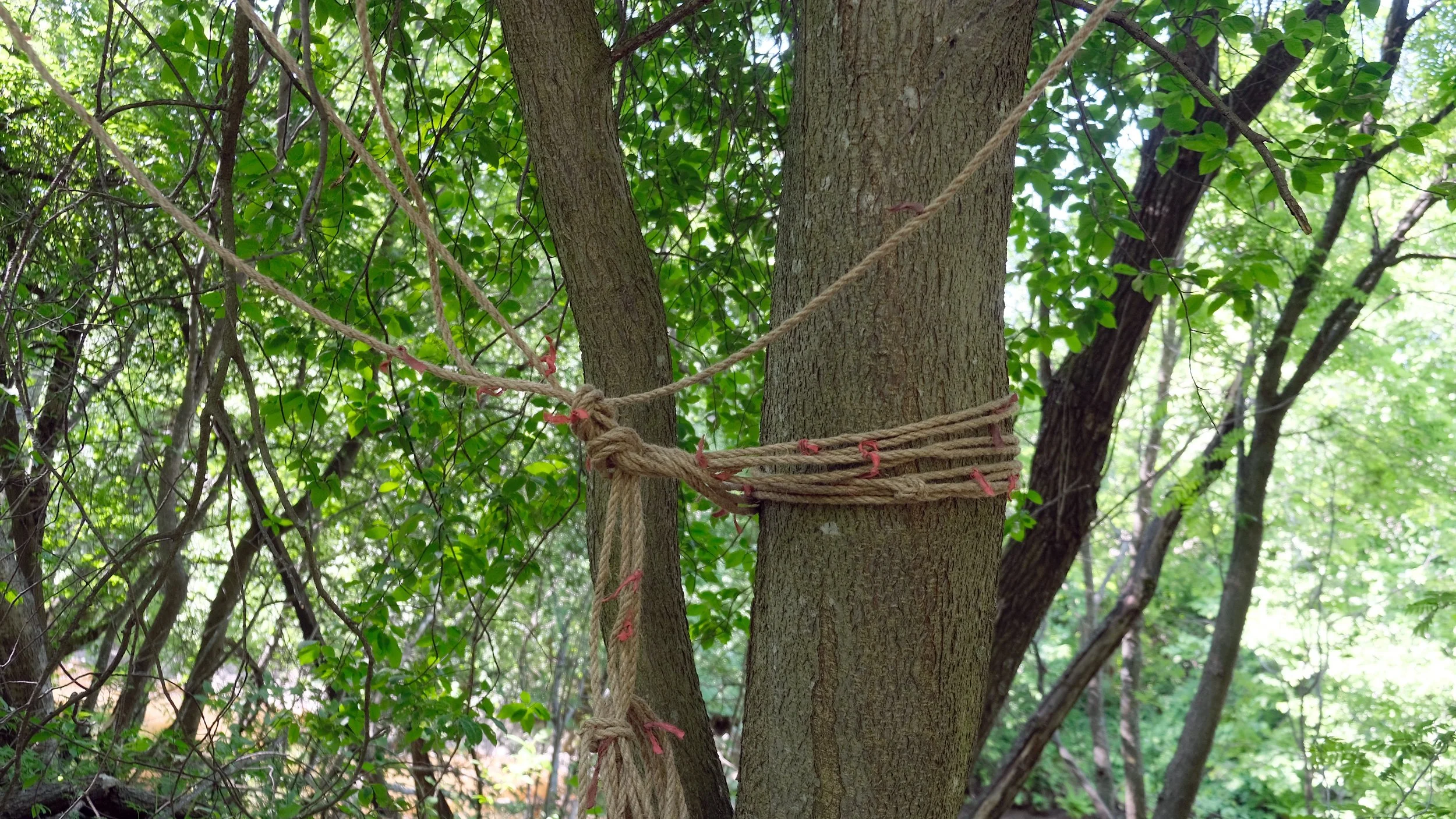 DSCF7524.JPG