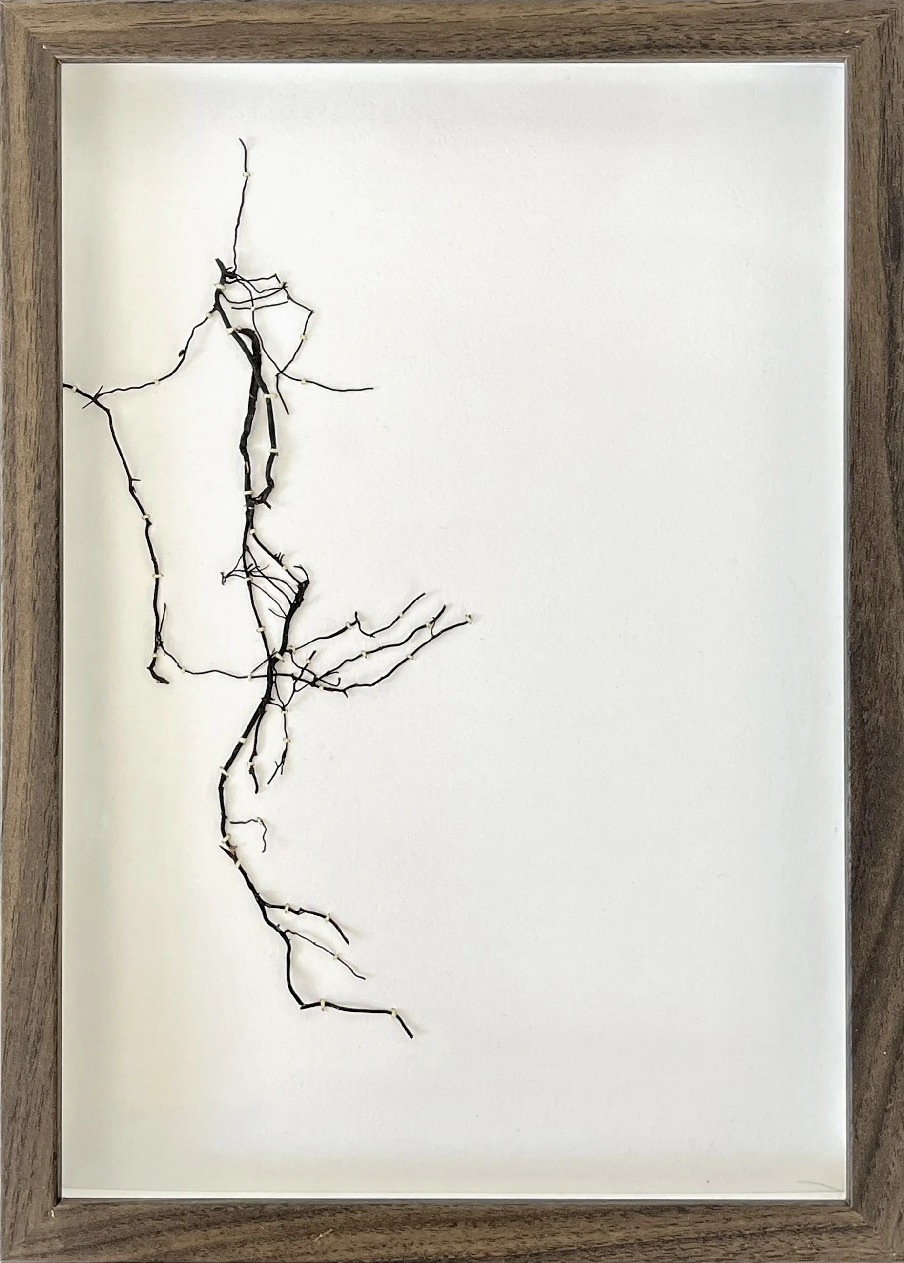 IMG_9031 kopiera.jpg