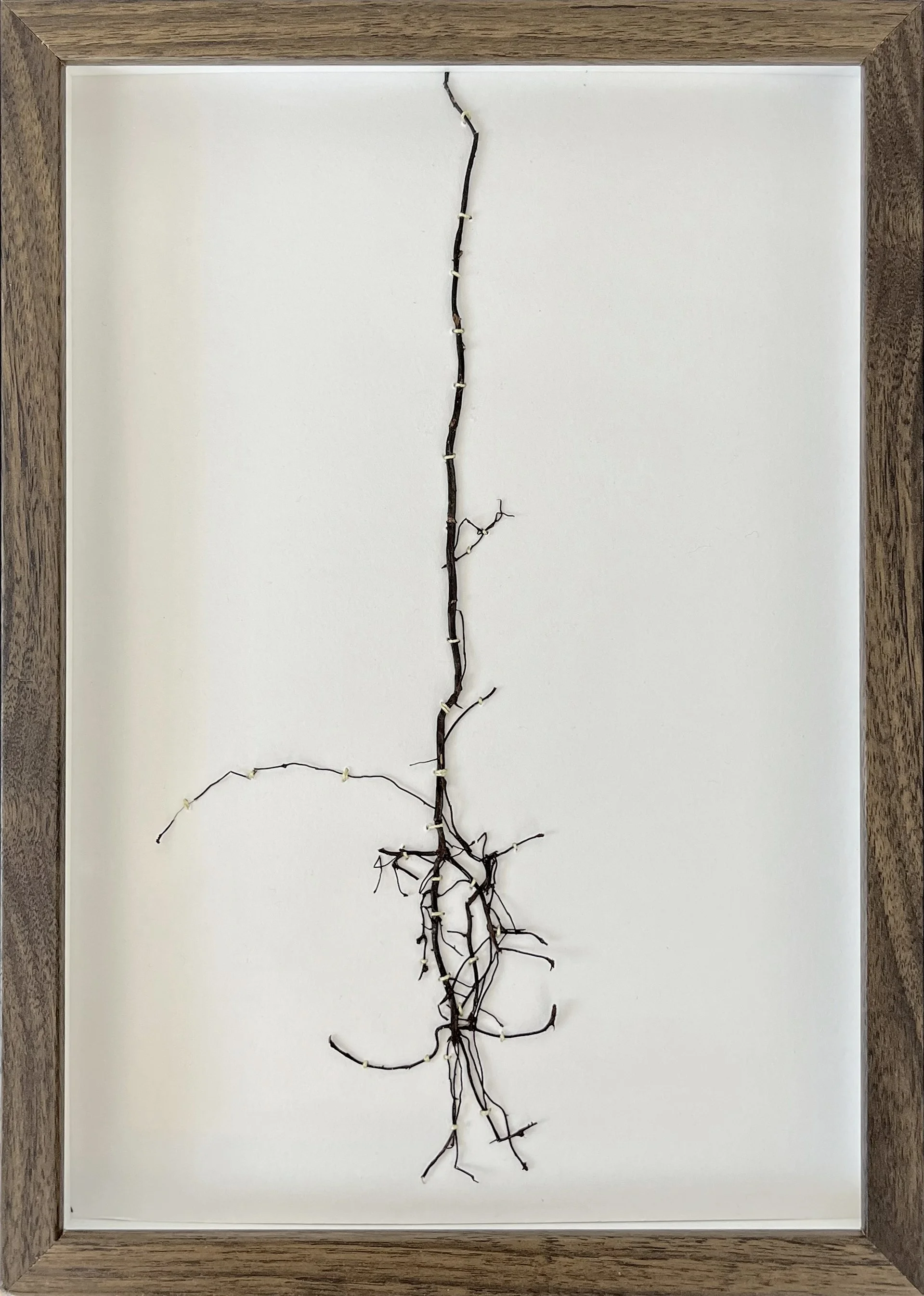 IMG_9034 kopiera.jpg