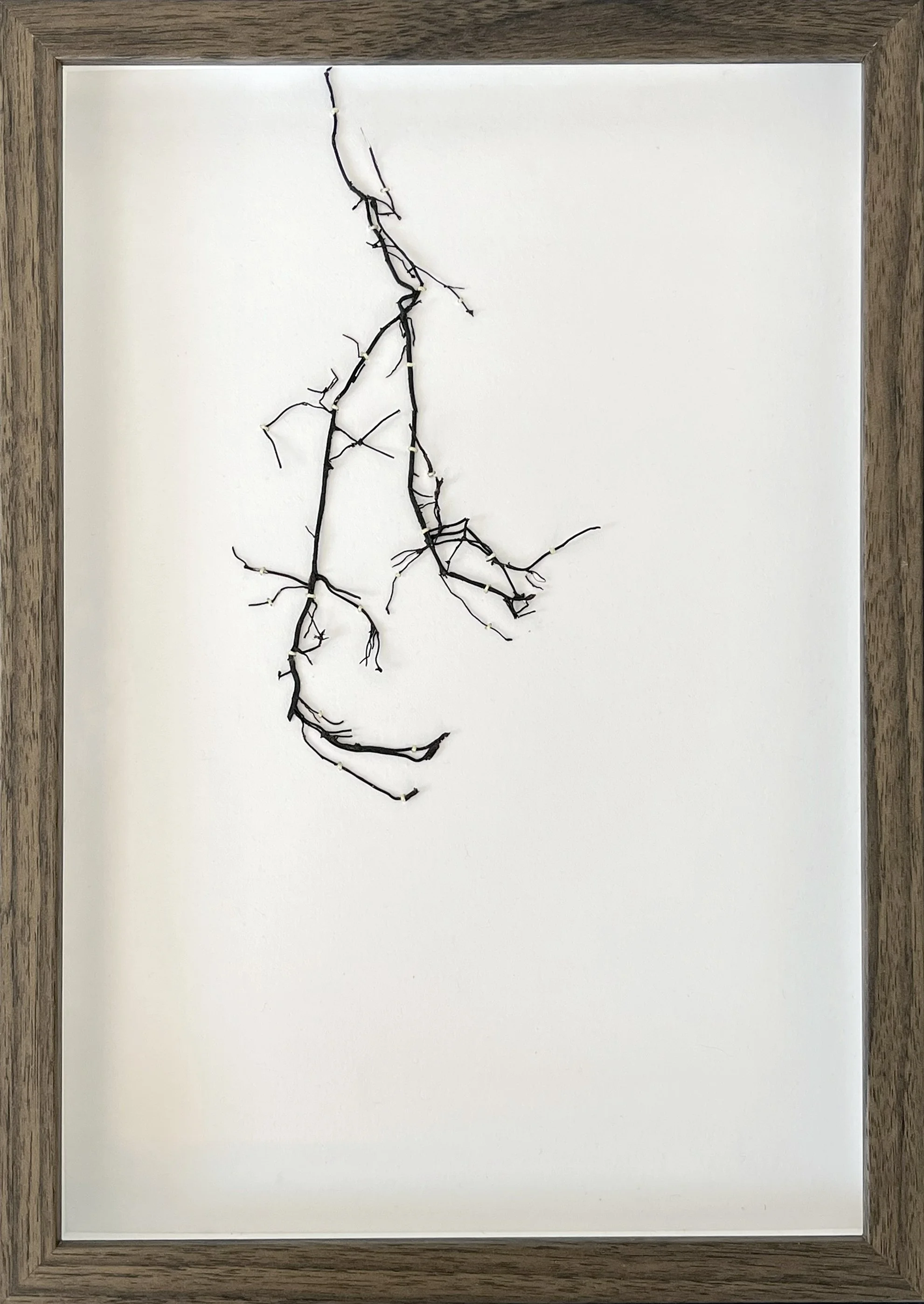 IMG_9037 kopiera.jpg