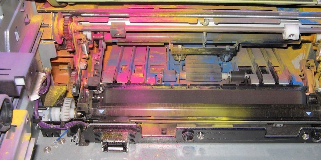 p5.jpg