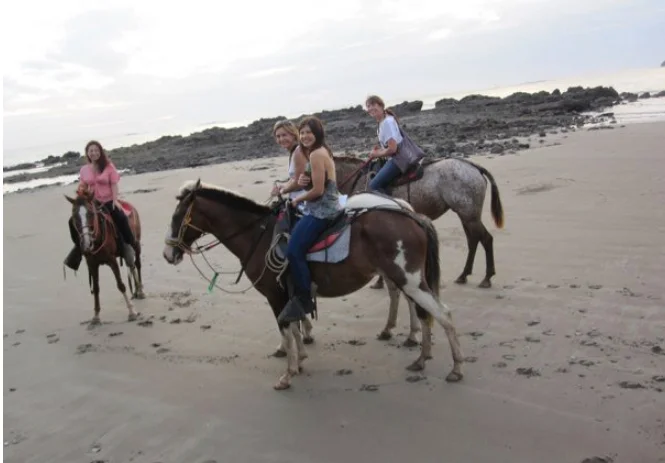 cr2010horses.jpg