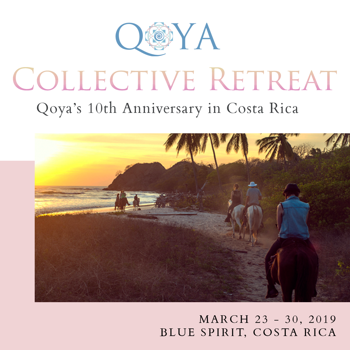 collective-promo4.png