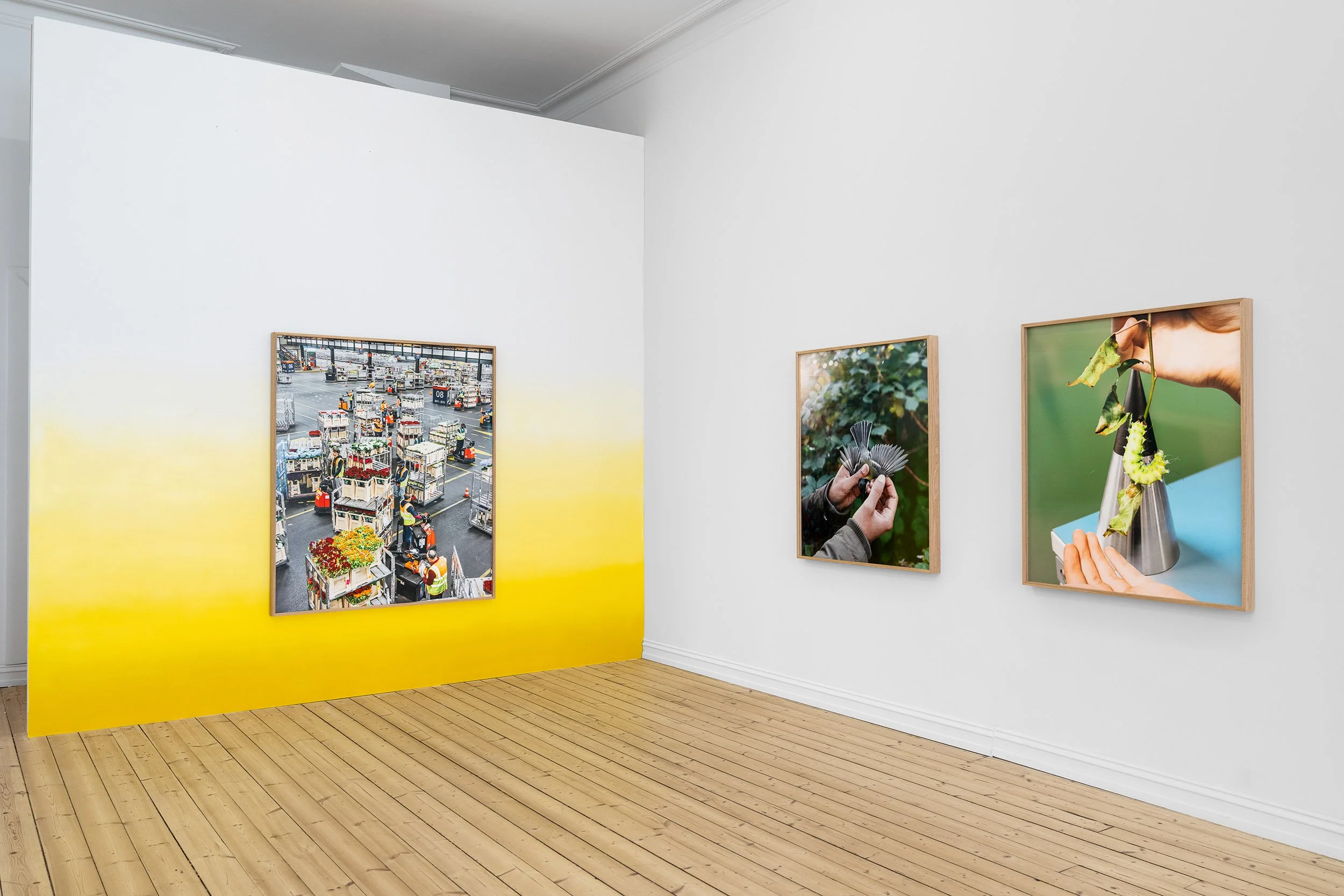 Hilde Honerud - MELK - web 06.jpg