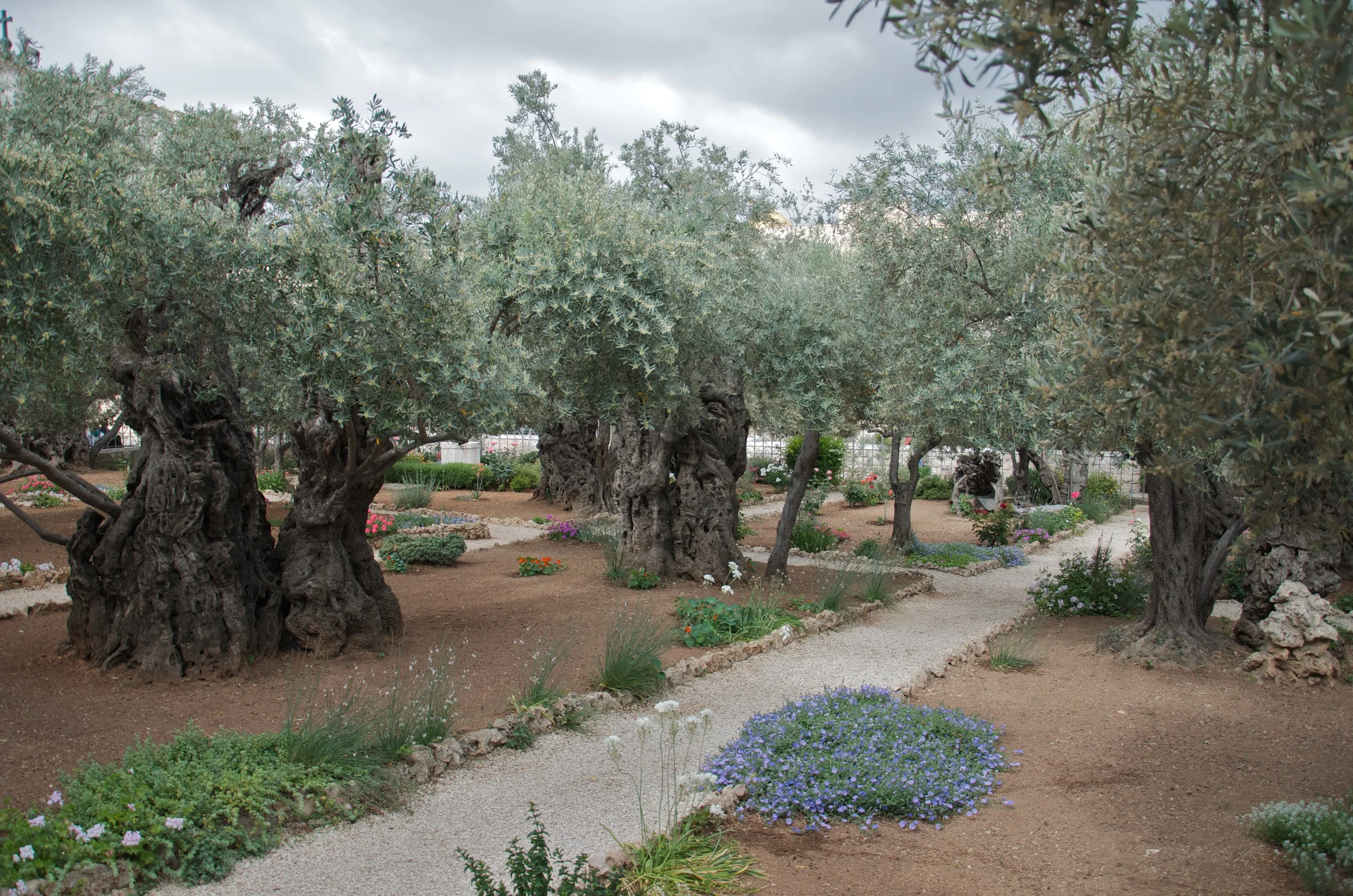 holy_land2_31.jpg